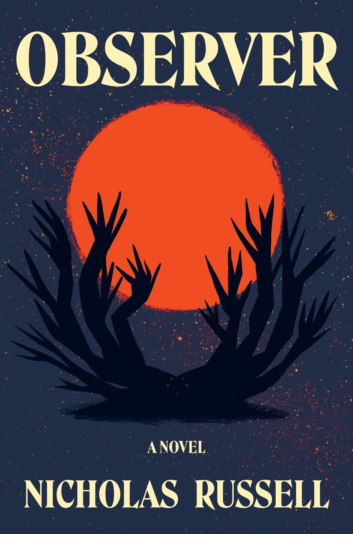 Observer: A Novel