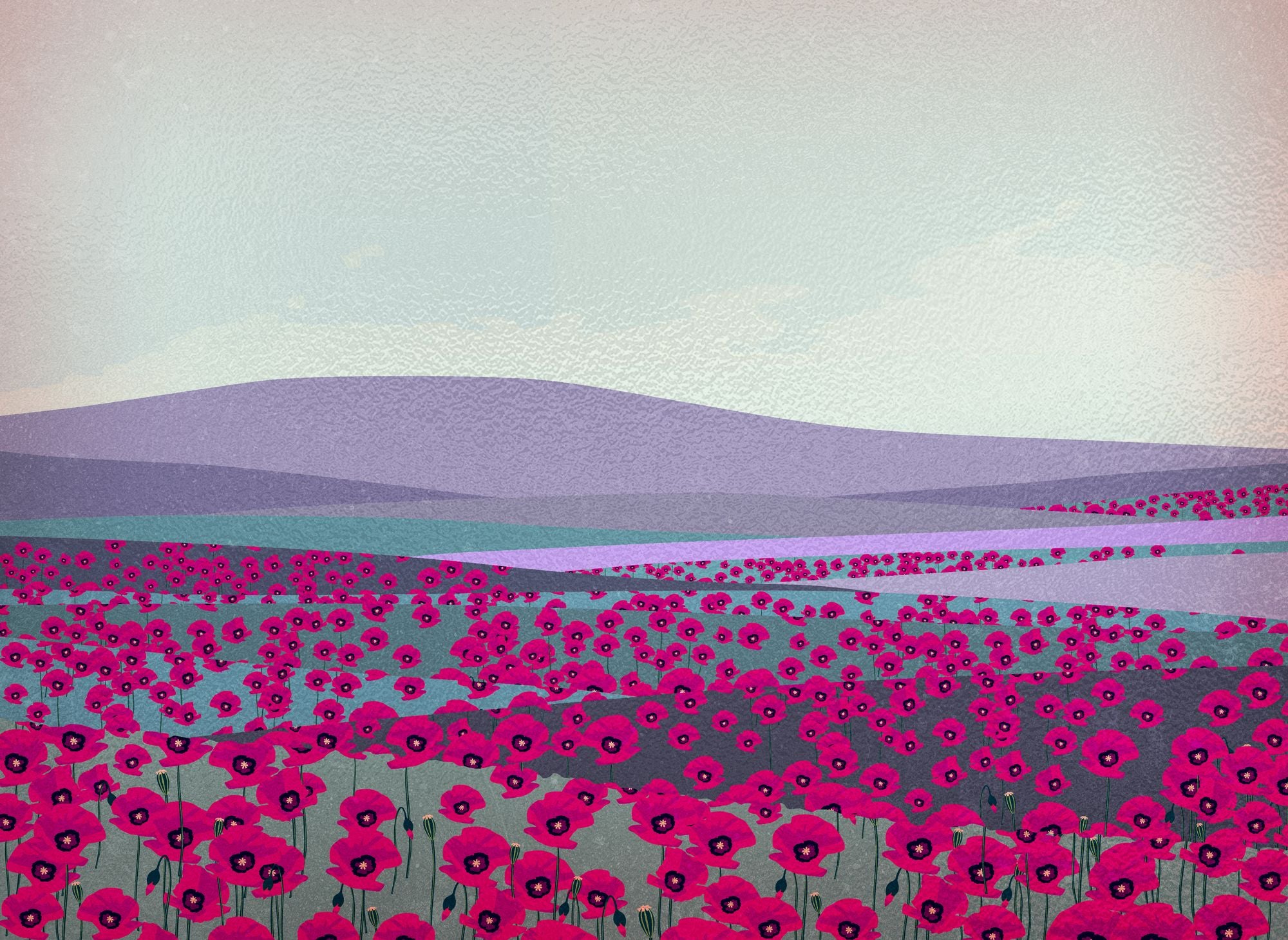 The Poppy Fields (Deluxe Limited Edition): A Novel (B&N Exclusive Edition)