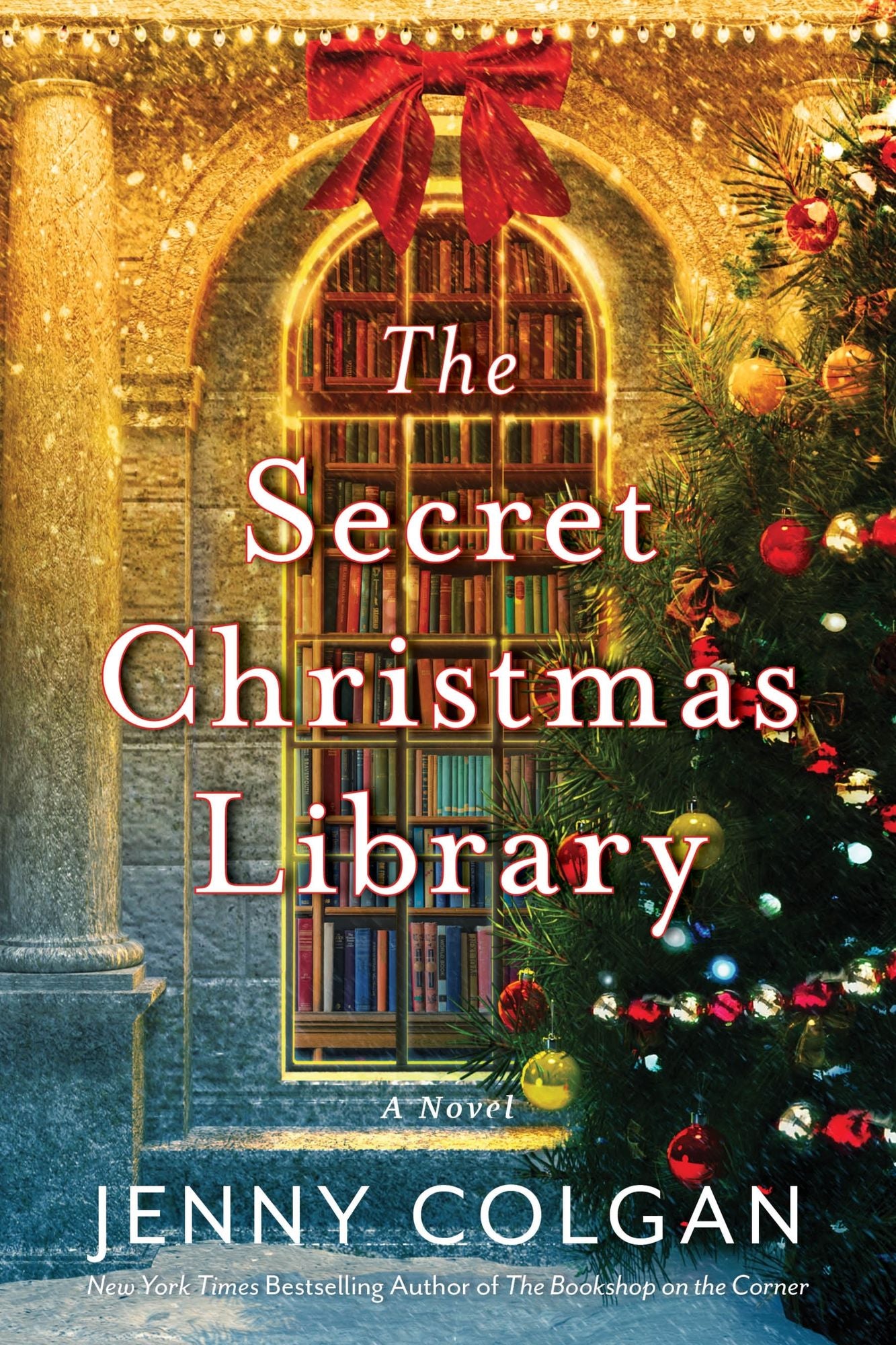 The Secret Christmas Library: A Novel