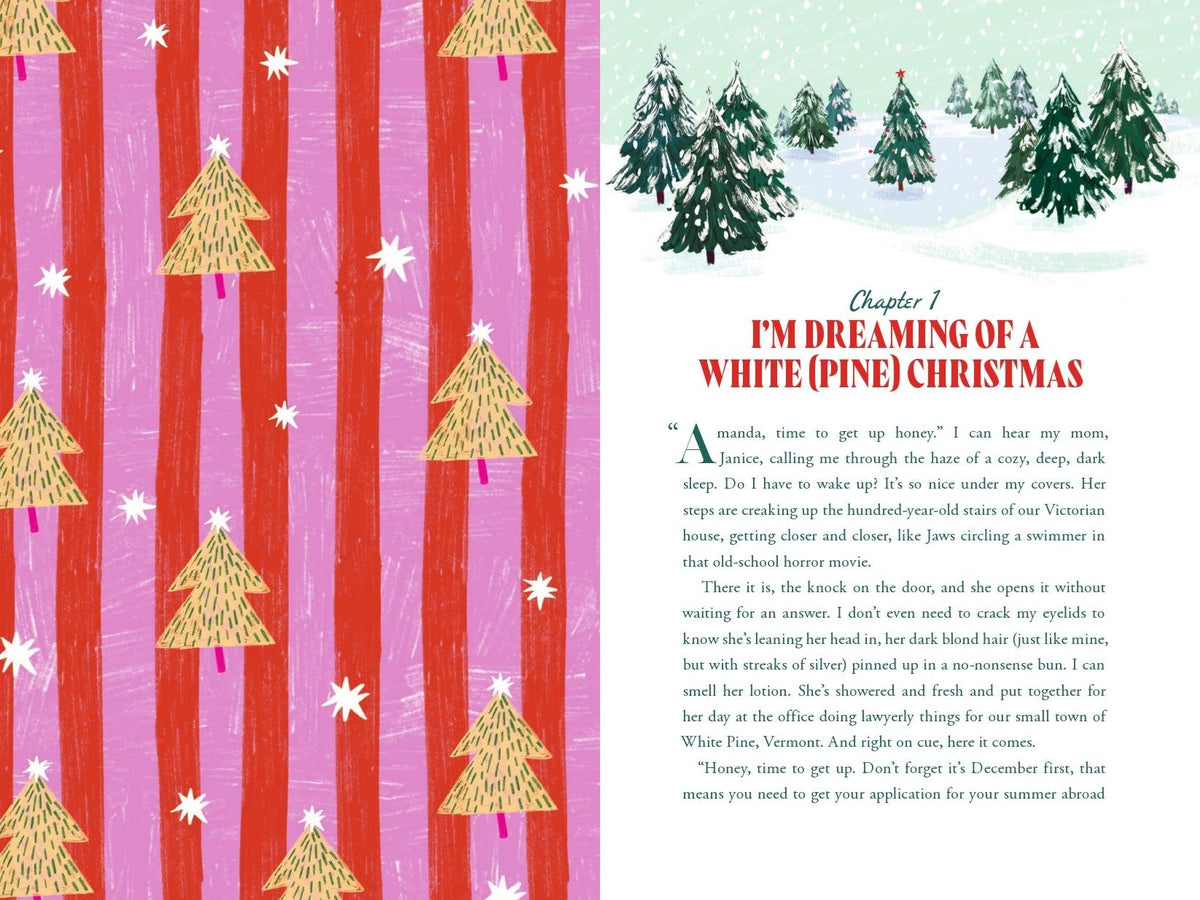 The Secret Santa Setup: Count Down to Christmas with 25 Sealed Chapters