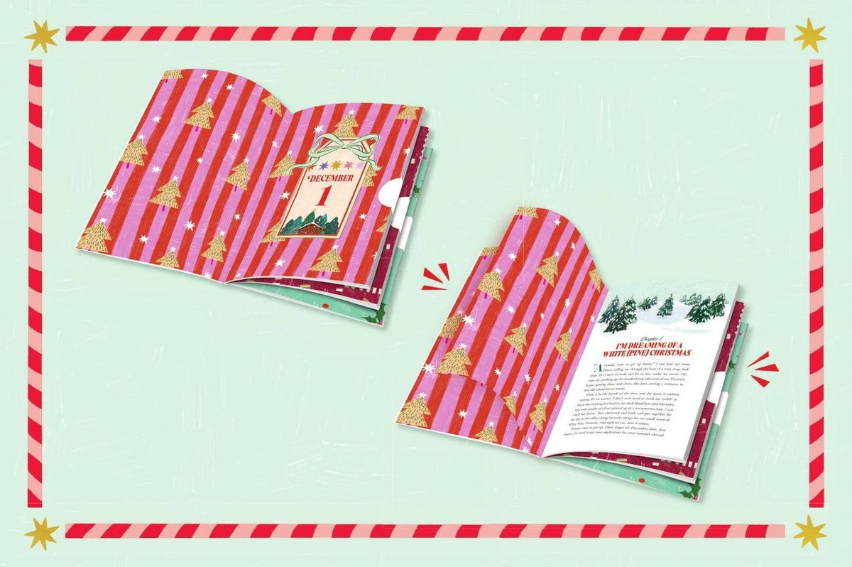 The Secret Santa Setup: Count Down to Christmas with 25 Sealed Chapters