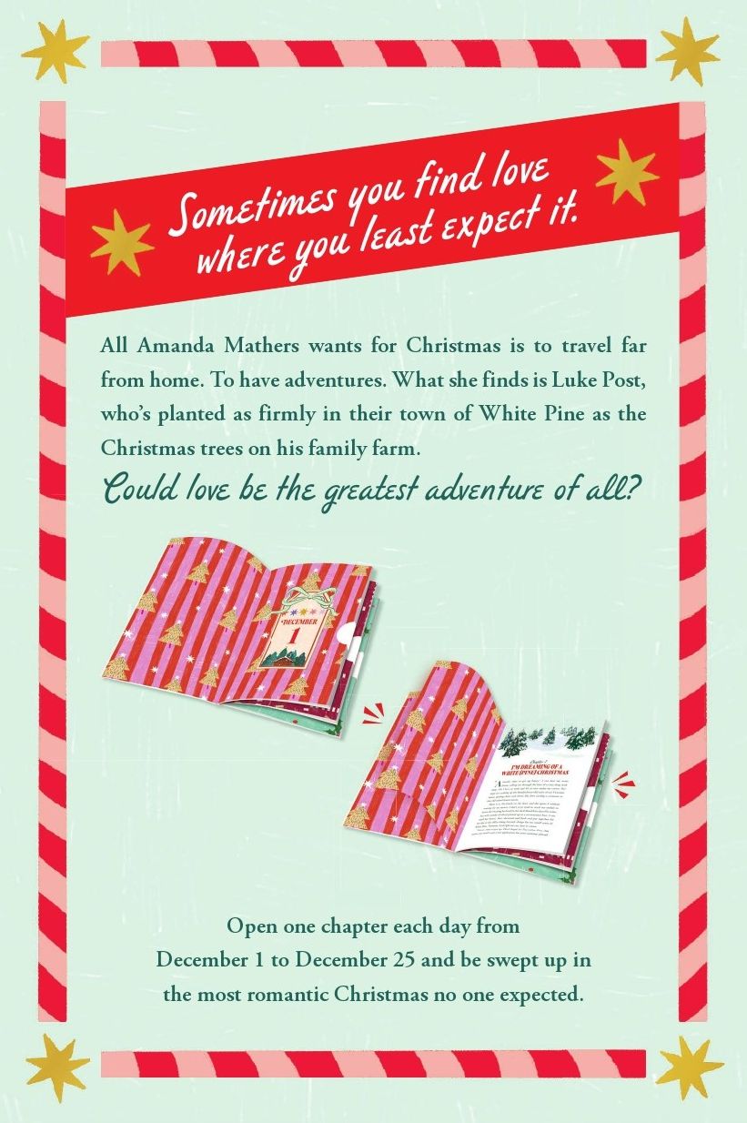 The Secret Santa Setup: Count Down to Christmas with 25 Sealed Chapters