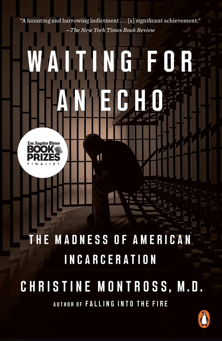 Waiting for an Echo: The Madness of American Incarceration