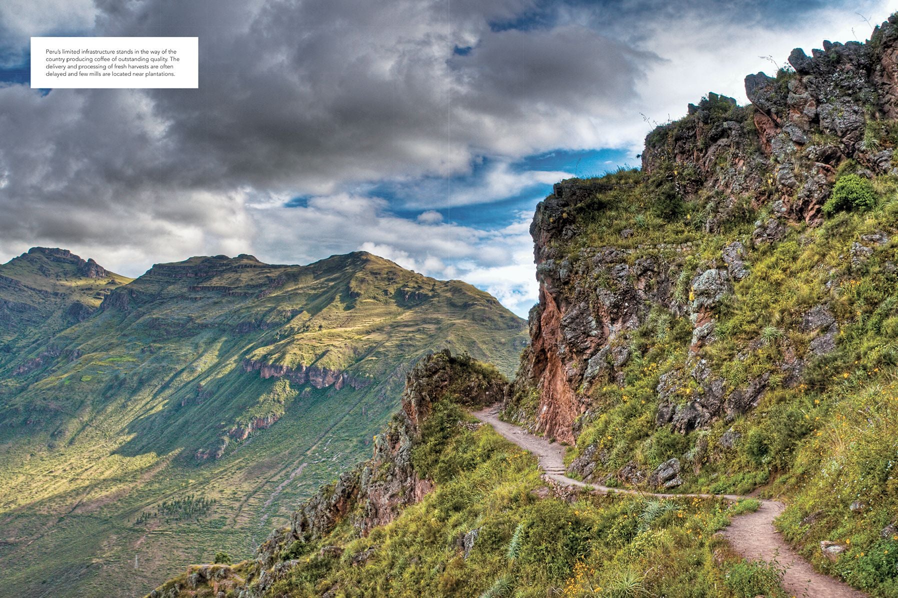 The World Atlas of Coffee: From Beans to Brewing -- Coffees Explored, Explained and Enjoyed