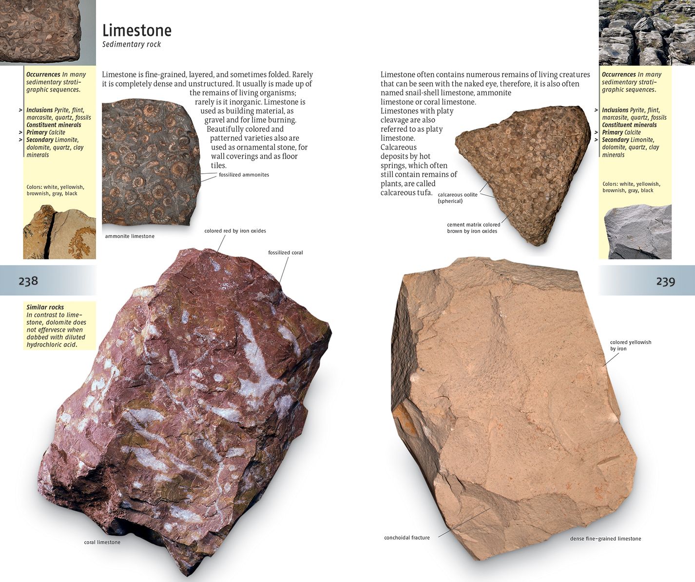 The Firefly Guide to Minerals, Rocks and Gems