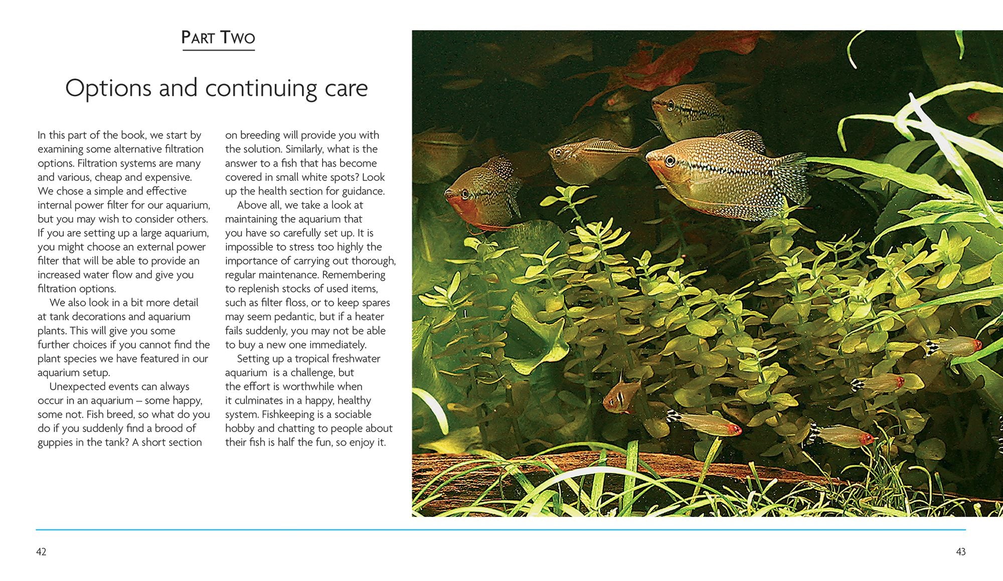 Mini Encyclopedia The Tropical Aquarium: Comprehensive Coverage, from Setting Up an Aquarium to Choosing the Best Fishes