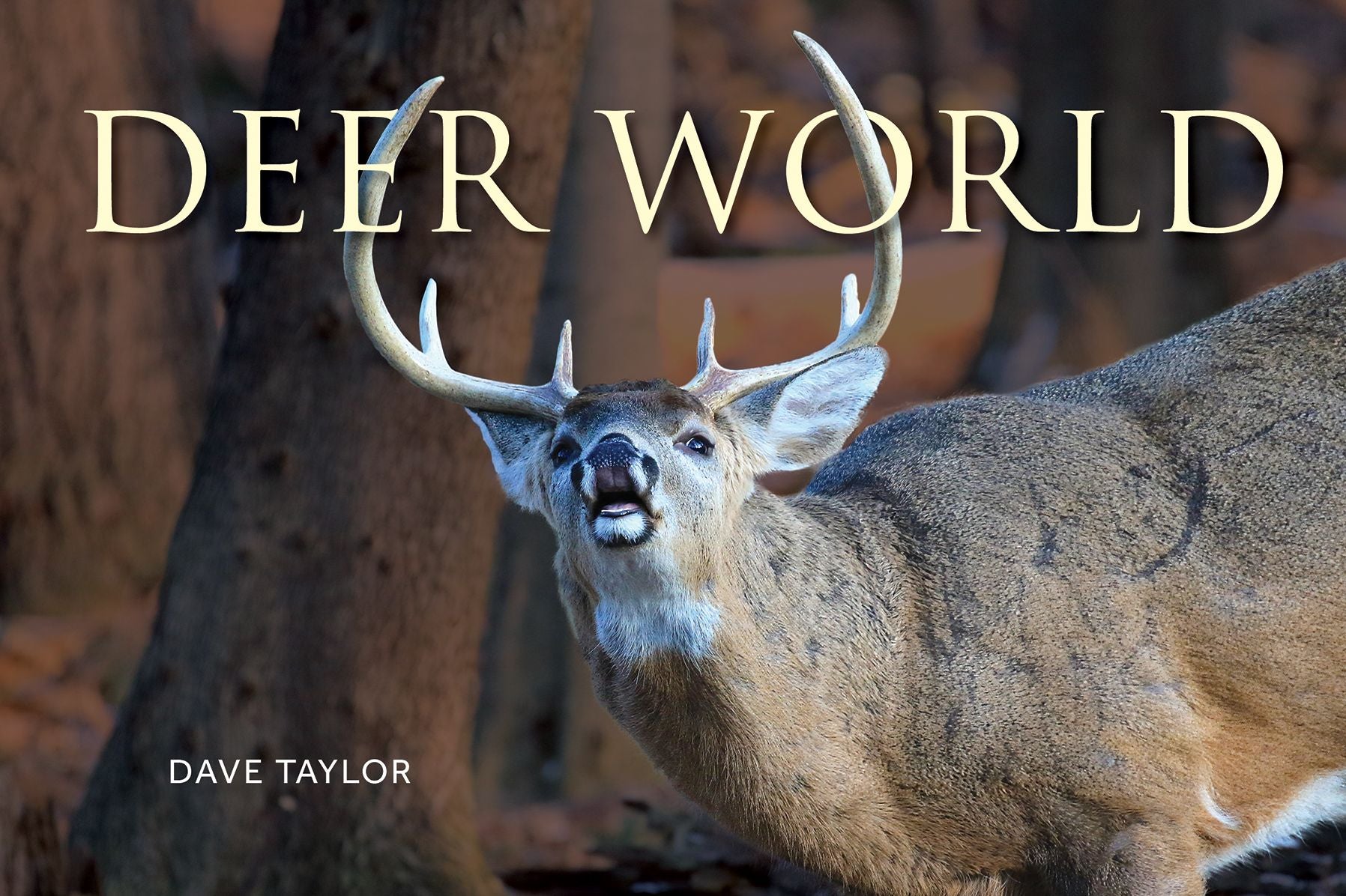 Deer World