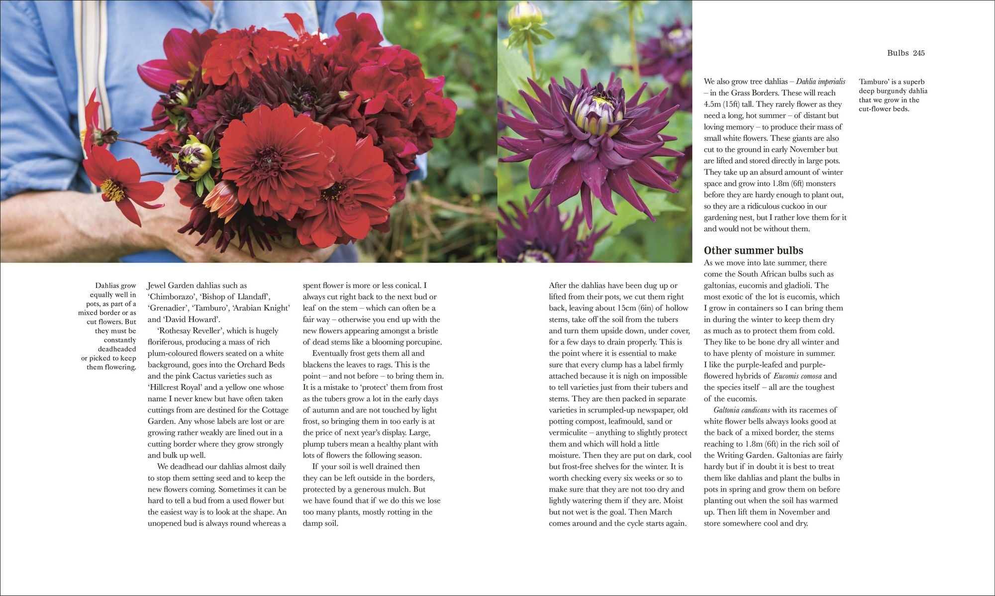 The Complete Gardener: A Practical, Imaginative Guide to Every Aspect of Gardening