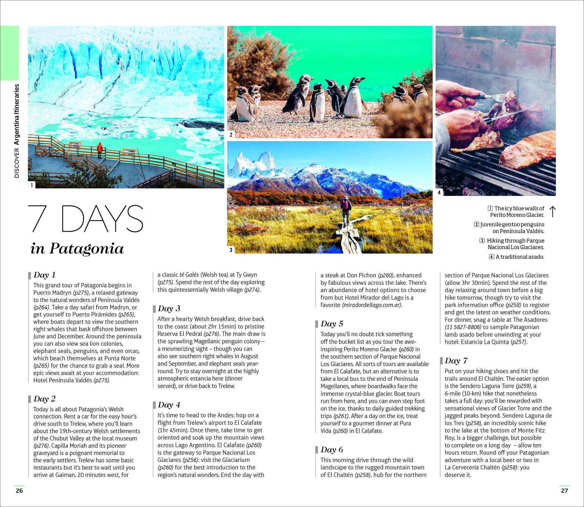 DK Argentina: Must-See Sights. Culture & History. Detailed Maps & Tours. Covers Buenos Aires, Patagonia, Mendoza,