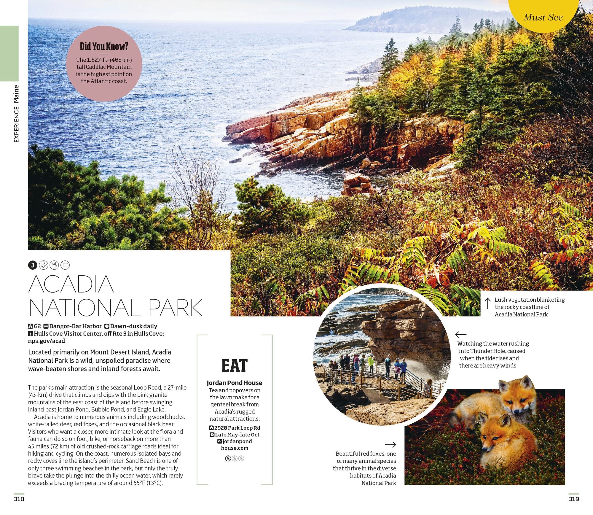 DK New England: Must-See Sights. Culture & History. Detailed Maps & Tours. Covers Boston, Cape Cod, Newport, & more