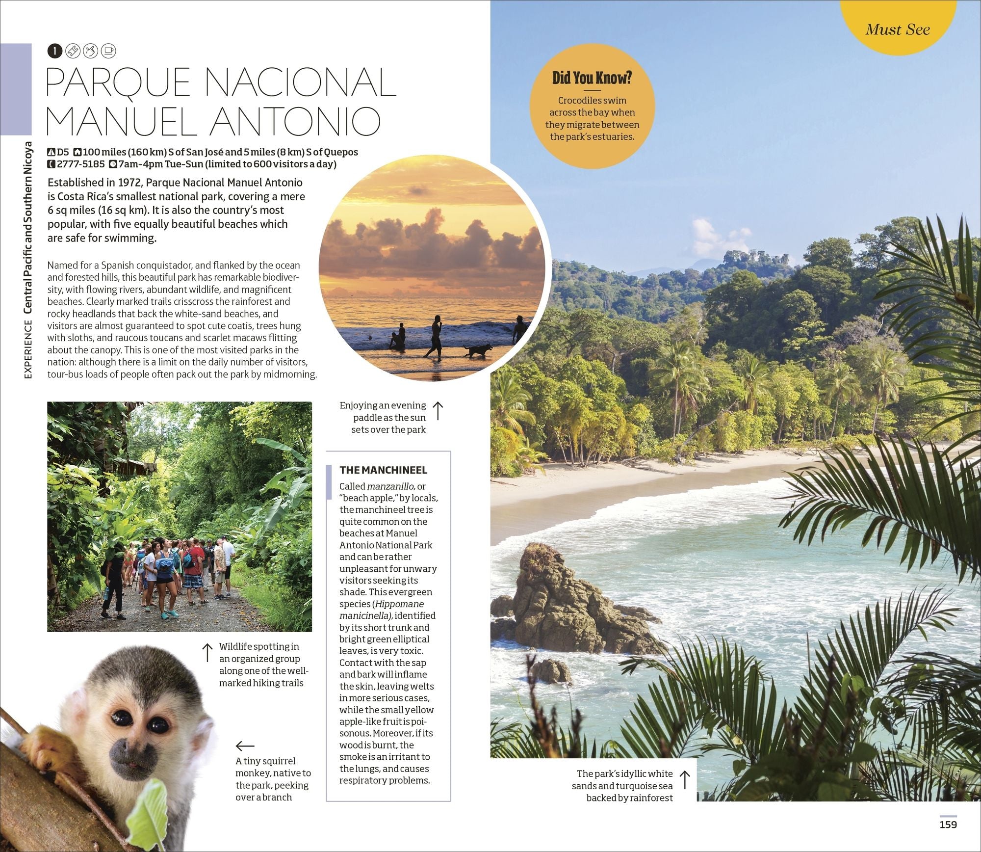 DK Costa Rica: Must-See Sights. Culture & History. Detailed Maps & Tours. Covers San José, La Fortuna, Monteverde,