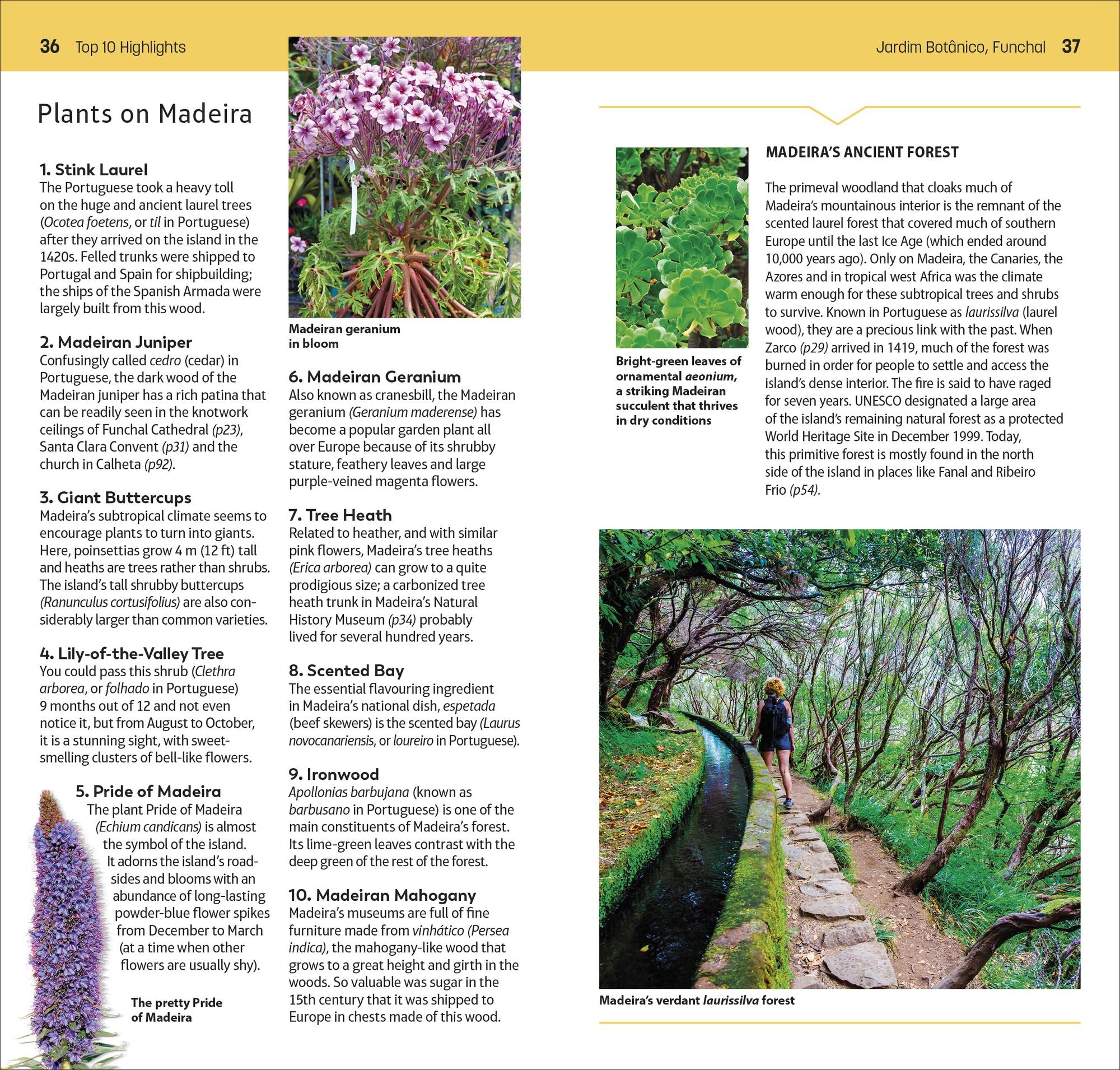 DK Top 10 Madeira: Top 10 lists for your perfect trip, plus an all-weather folded map
