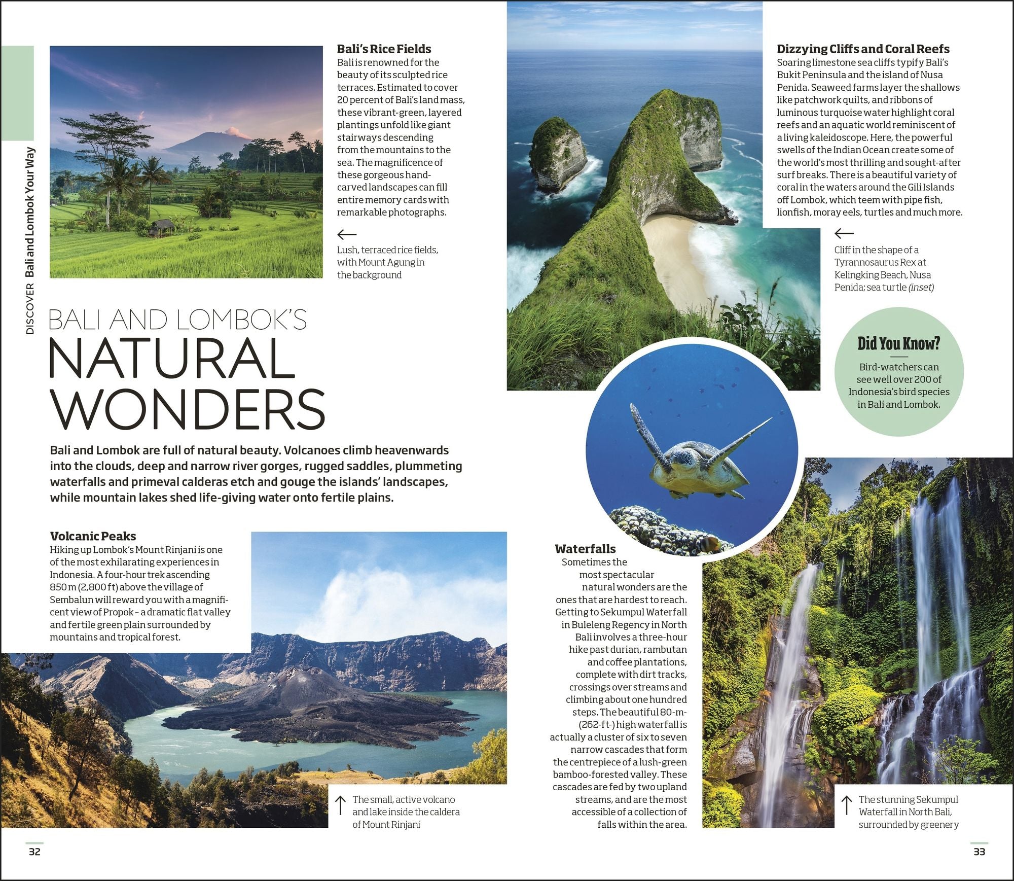 DK Bali and Lombok: Must-See Sights. Culture & History. Detailed Maps & Tours. Covers Ubud, Uluwatu, Kuta, & more
