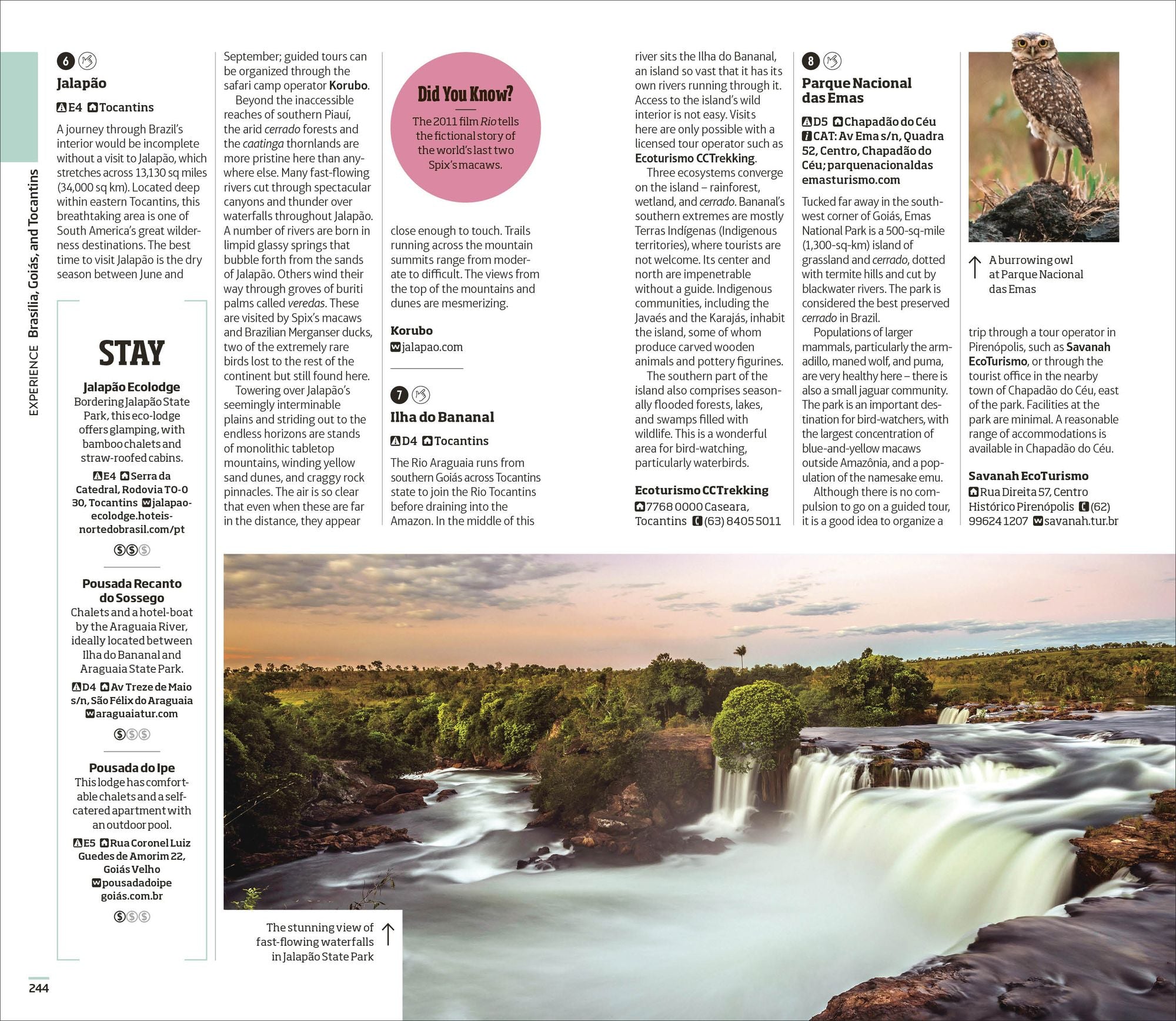 DK Brazil: Must-See Sights. Culture & History. Detailed Maps & Tours. Covers Rio de Janeiro, São Paulo, the Ama