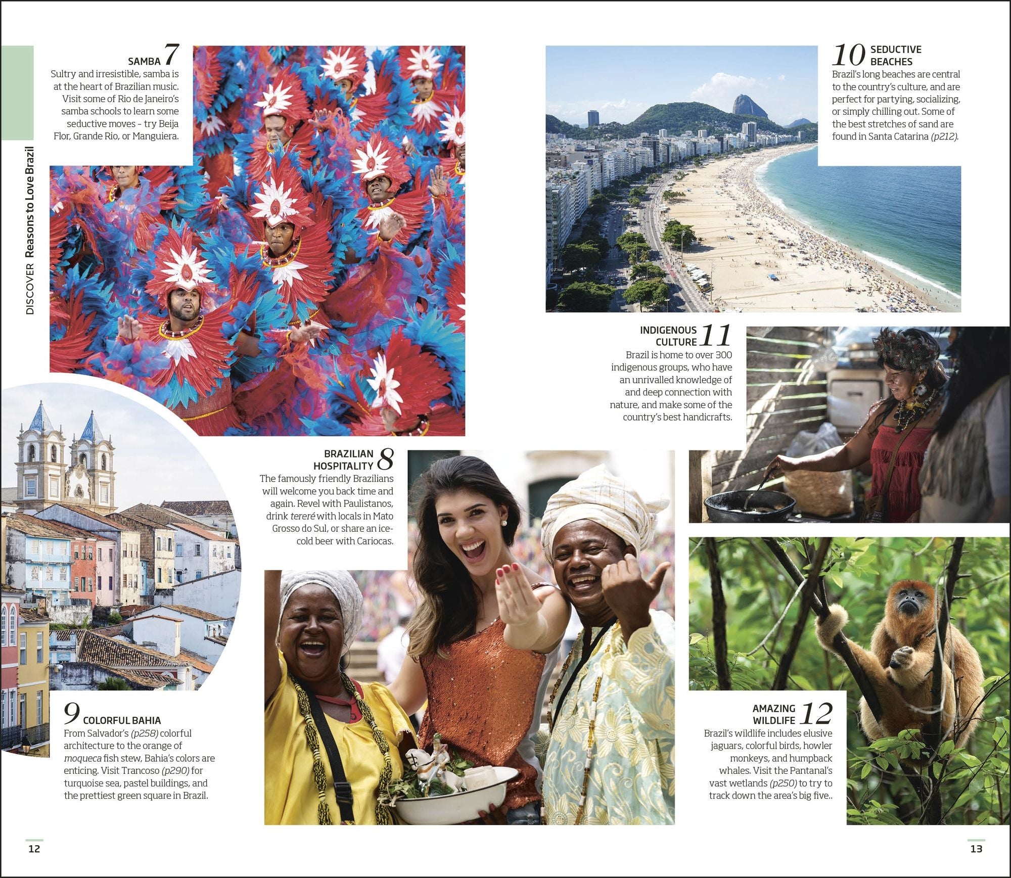 DK Brazil: Must-See Sights. Culture & History. Detailed Maps & Tours. Covers Rio de Janeiro, São Paulo, the Ama