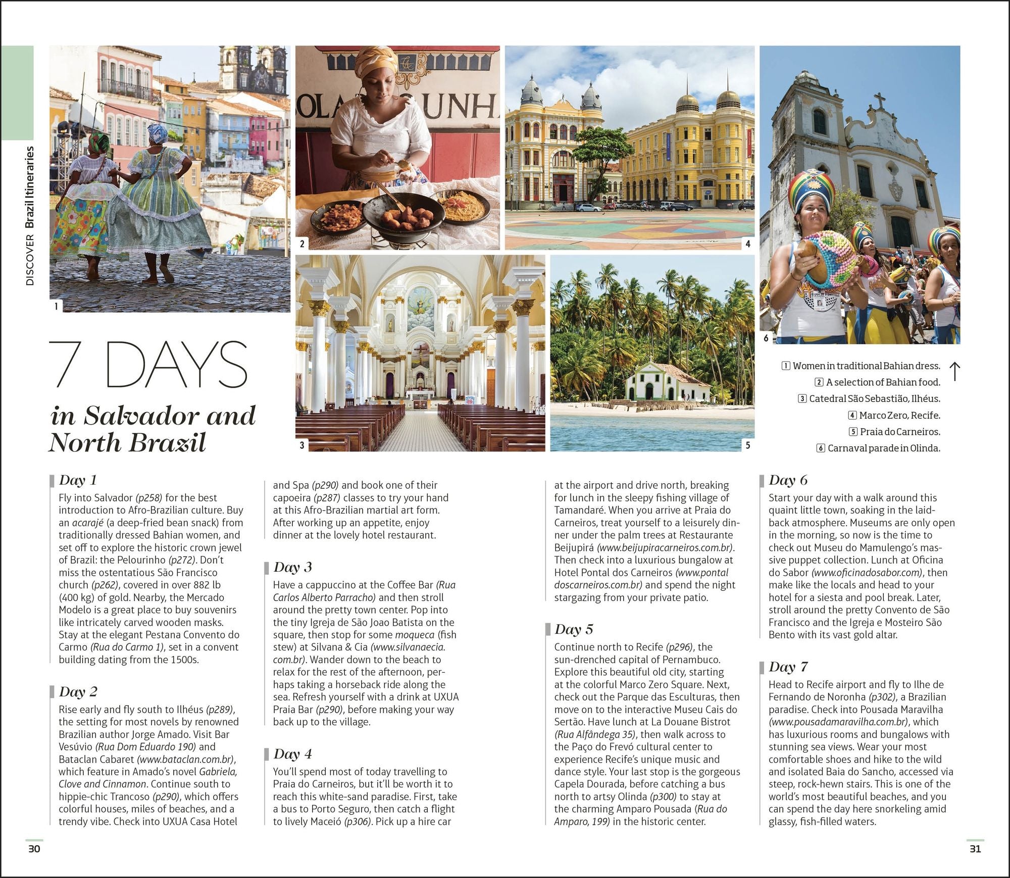 DK Brazil: Must-See Sights. Culture & History. Detailed Maps & Tours. Covers Rio de Janeiro, São Paulo, the Ama