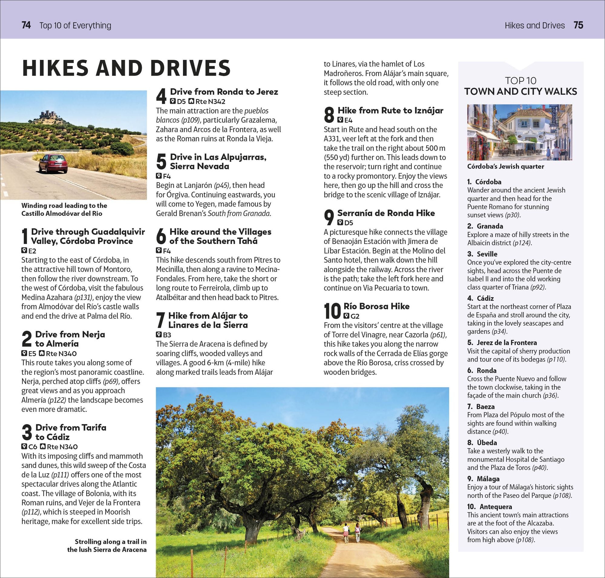 DK Top 10 Andalucía and the Costa del Sol: Top 10 lists for your perfect trip, plus an all-weather folded map