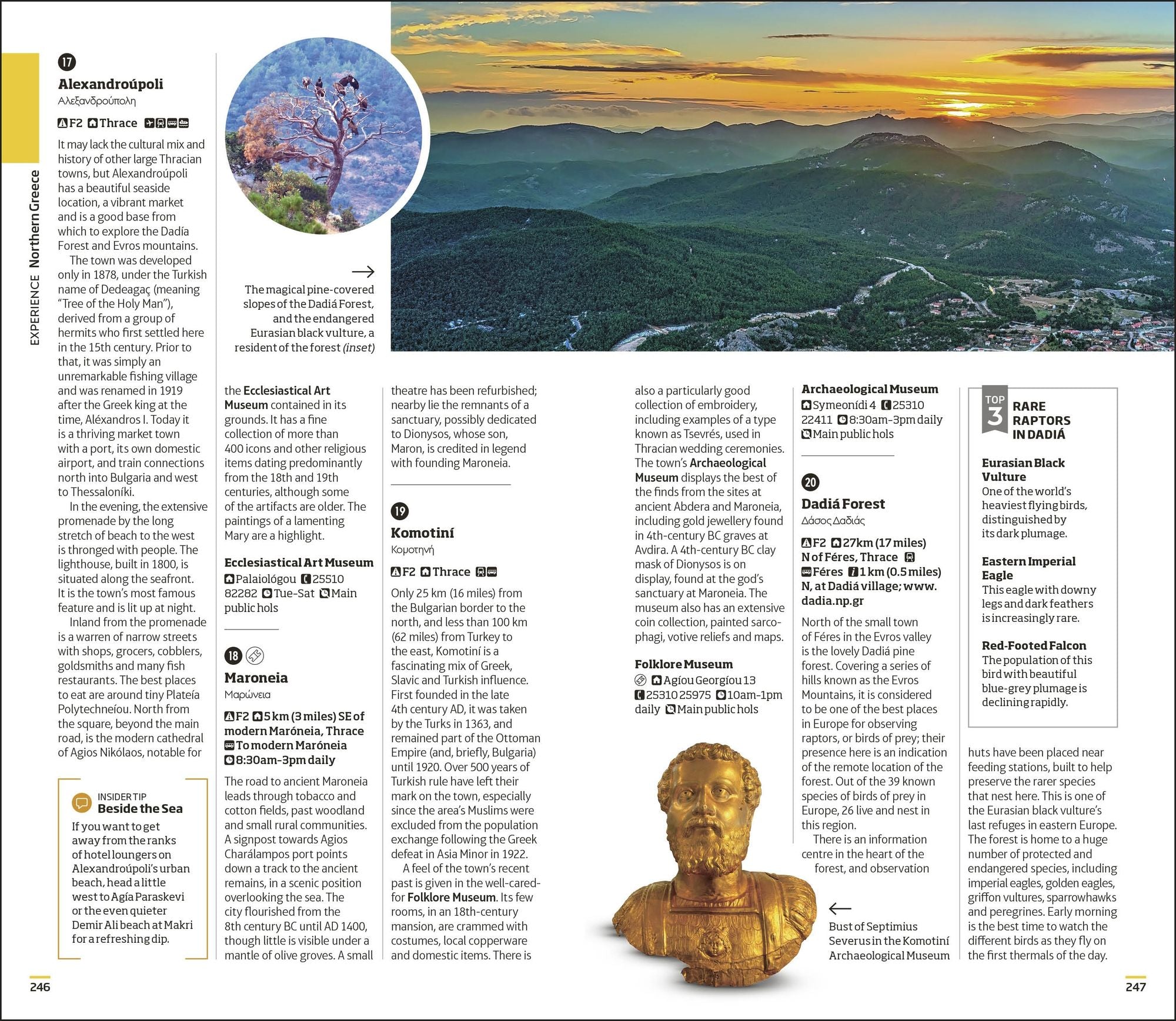DK Greece, Athens and the Mainland: Must-See Sights. Culture & History. Detailed Maps & Tours. Area-by-Area Guide.