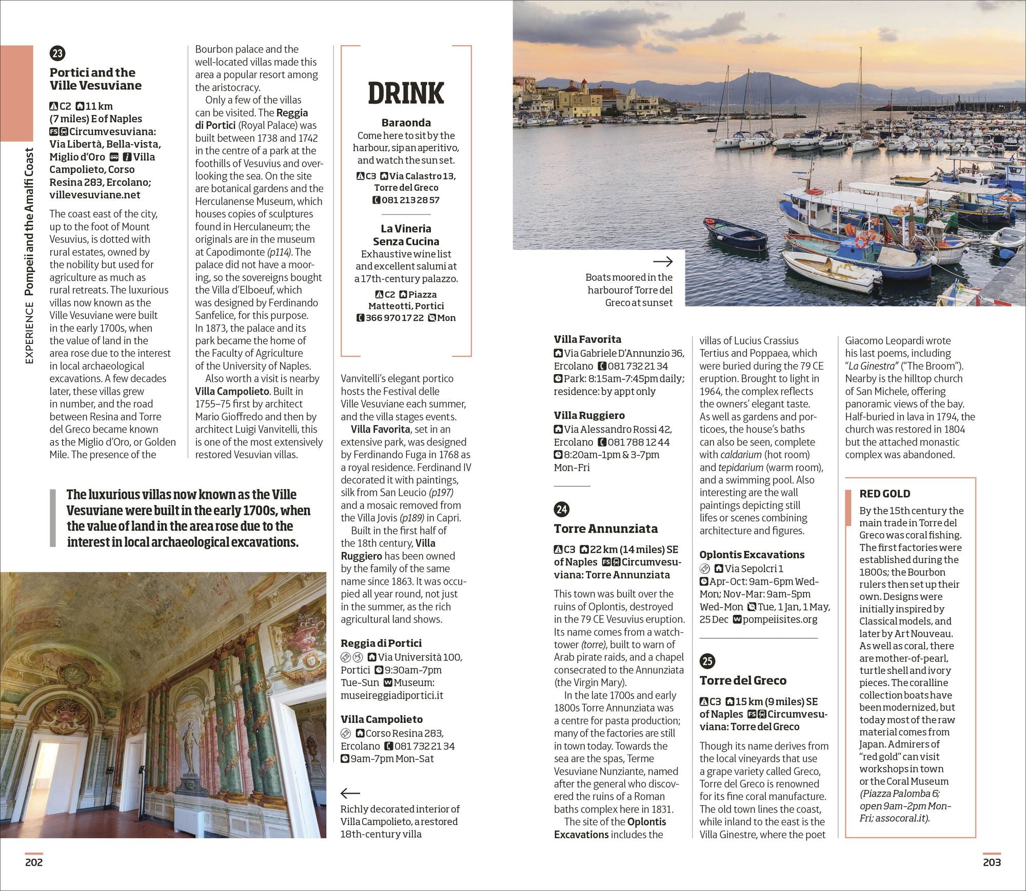DK Naples and the Amalfi Coast: Must-See Sights. Culture & History. Detailed Maps & Tours. Covers Naples, Pompeii, & more