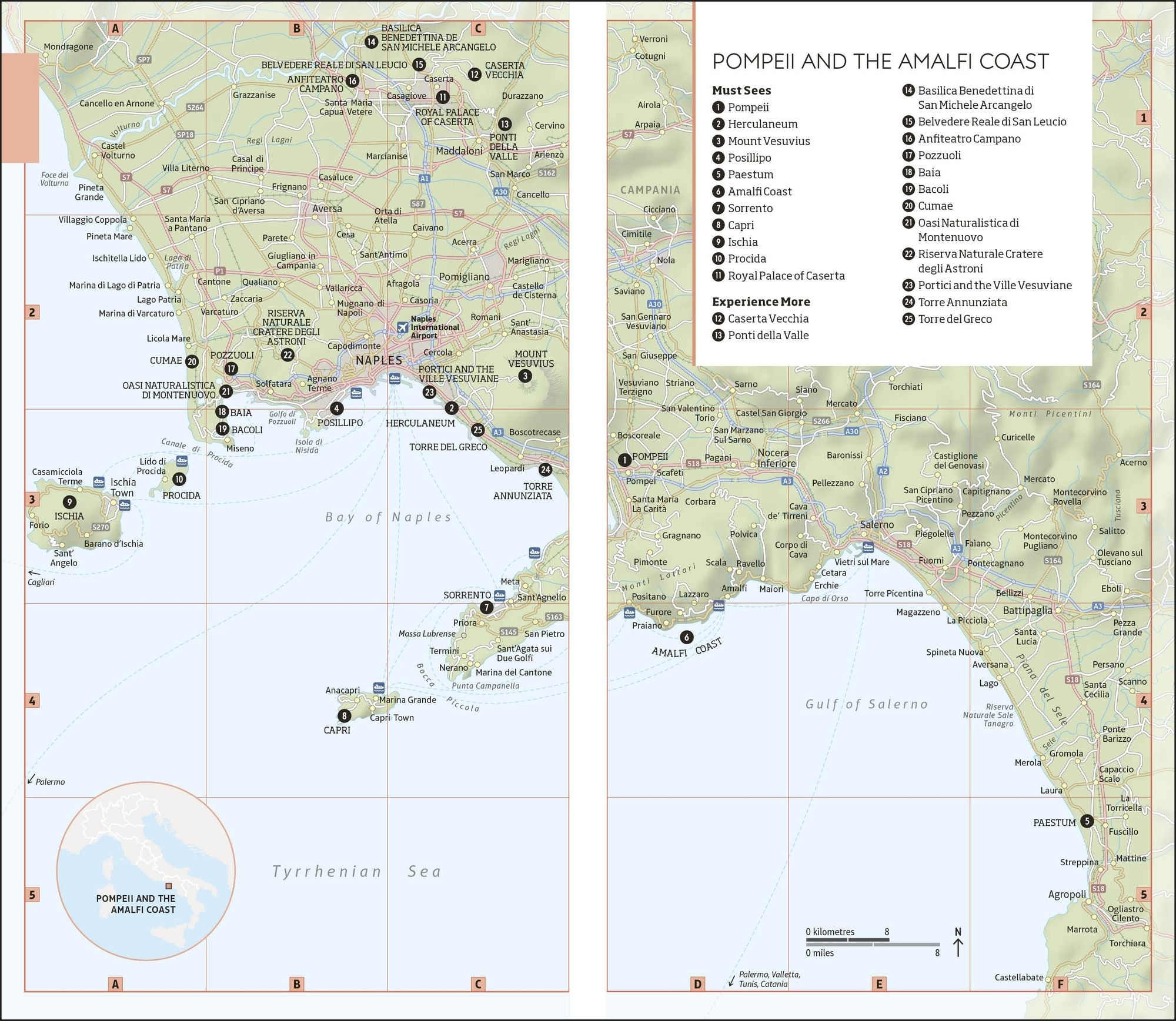 DK Naples and the Amalfi Coast: Must-See Sights. Culture & History. Detailed Maps & Tours. Covers Naples, Pompeii, & more