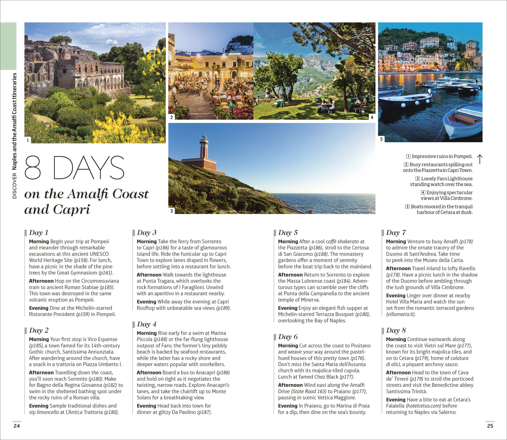 DK Naples and the Amalfi Coast: Must-See Sights. Culture & History. Detailed Maps & Tours. Covers Naples, Pompeii, & more