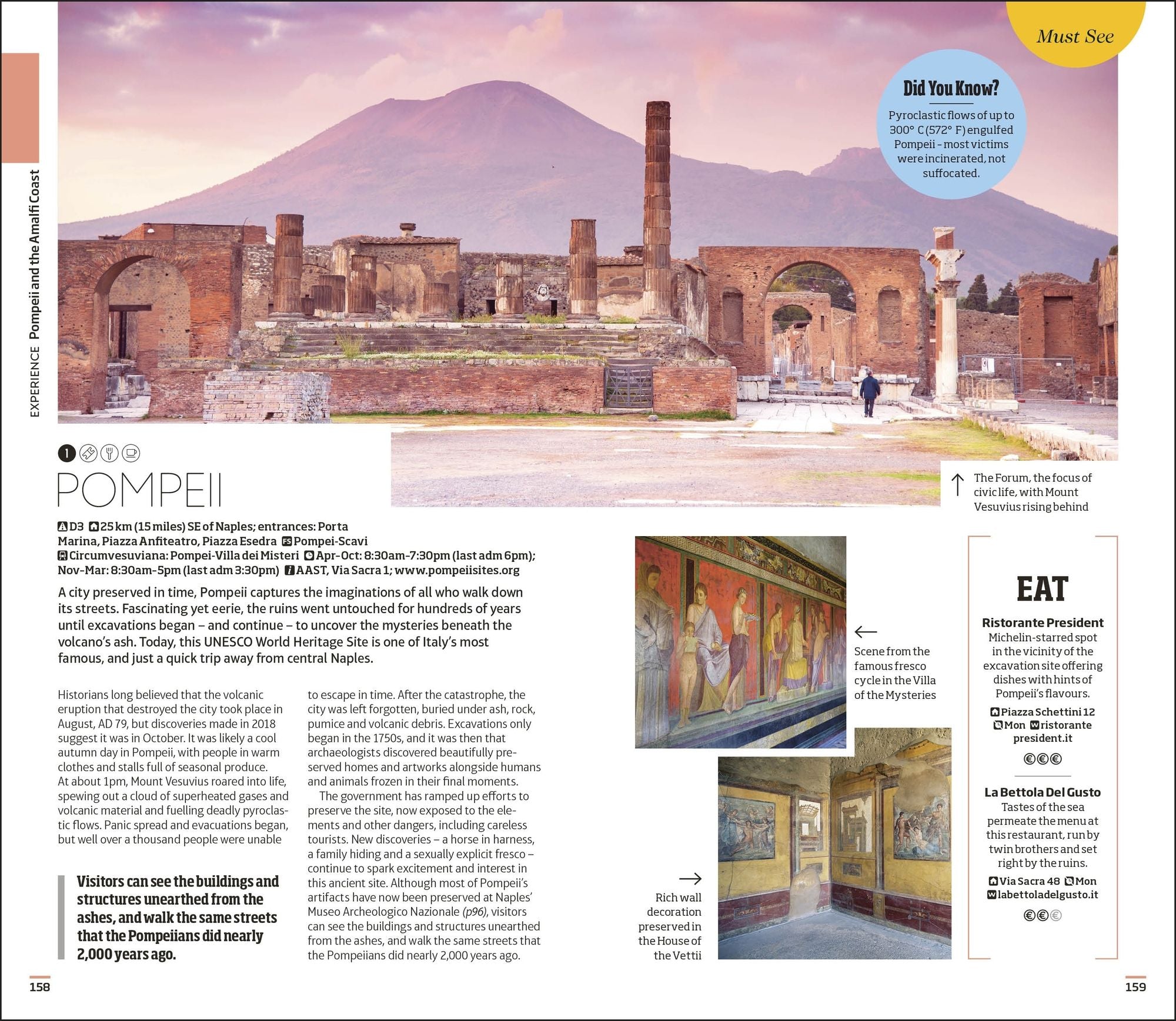 DK Naples and the Amalfi Coast: Must-See Sights. Culture & History. Detailed Maps & Tours. Covers Naples, Pompeii, & more