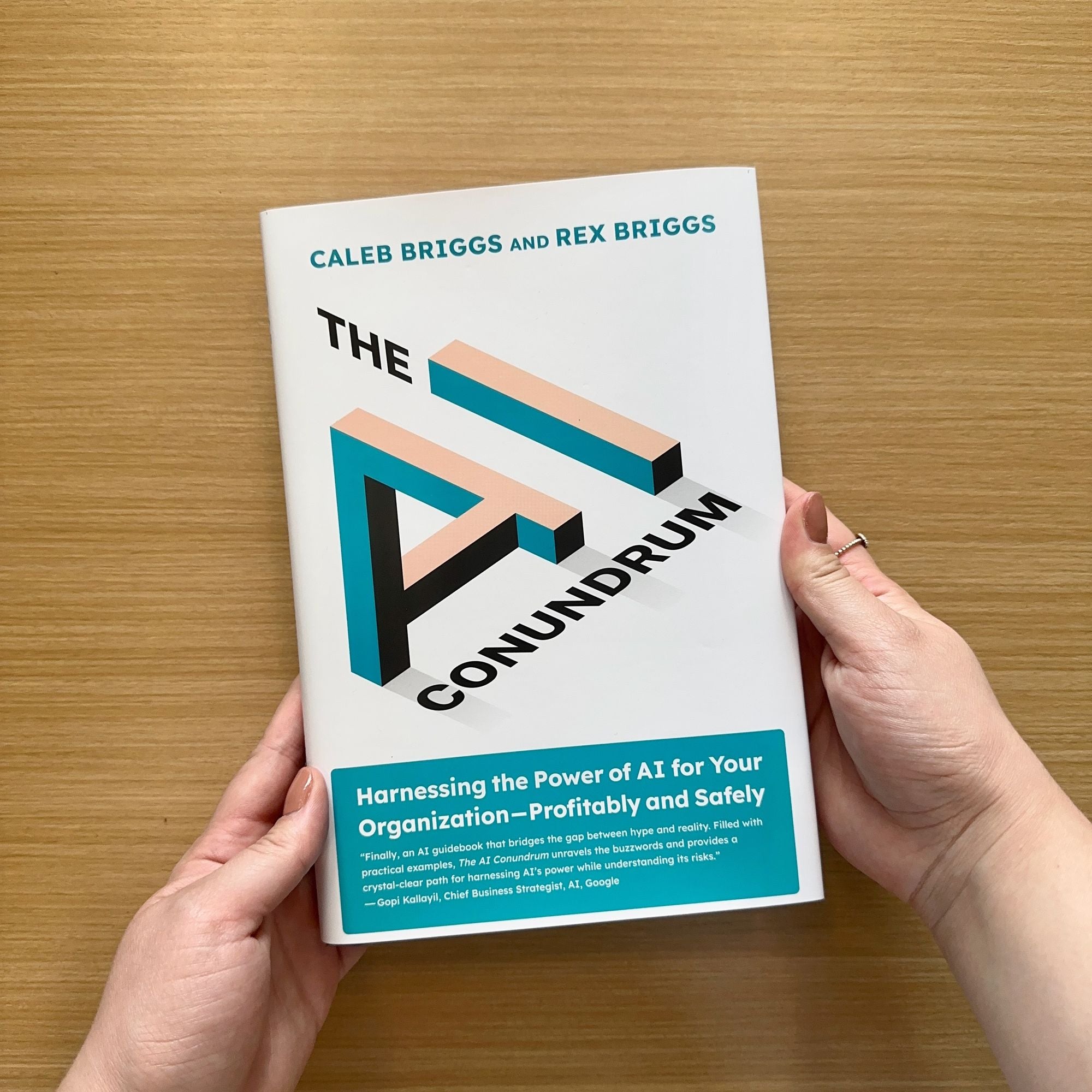 The AI Conundrum: Harnessing the Power of AI for Your Organization--Profitably and Safely