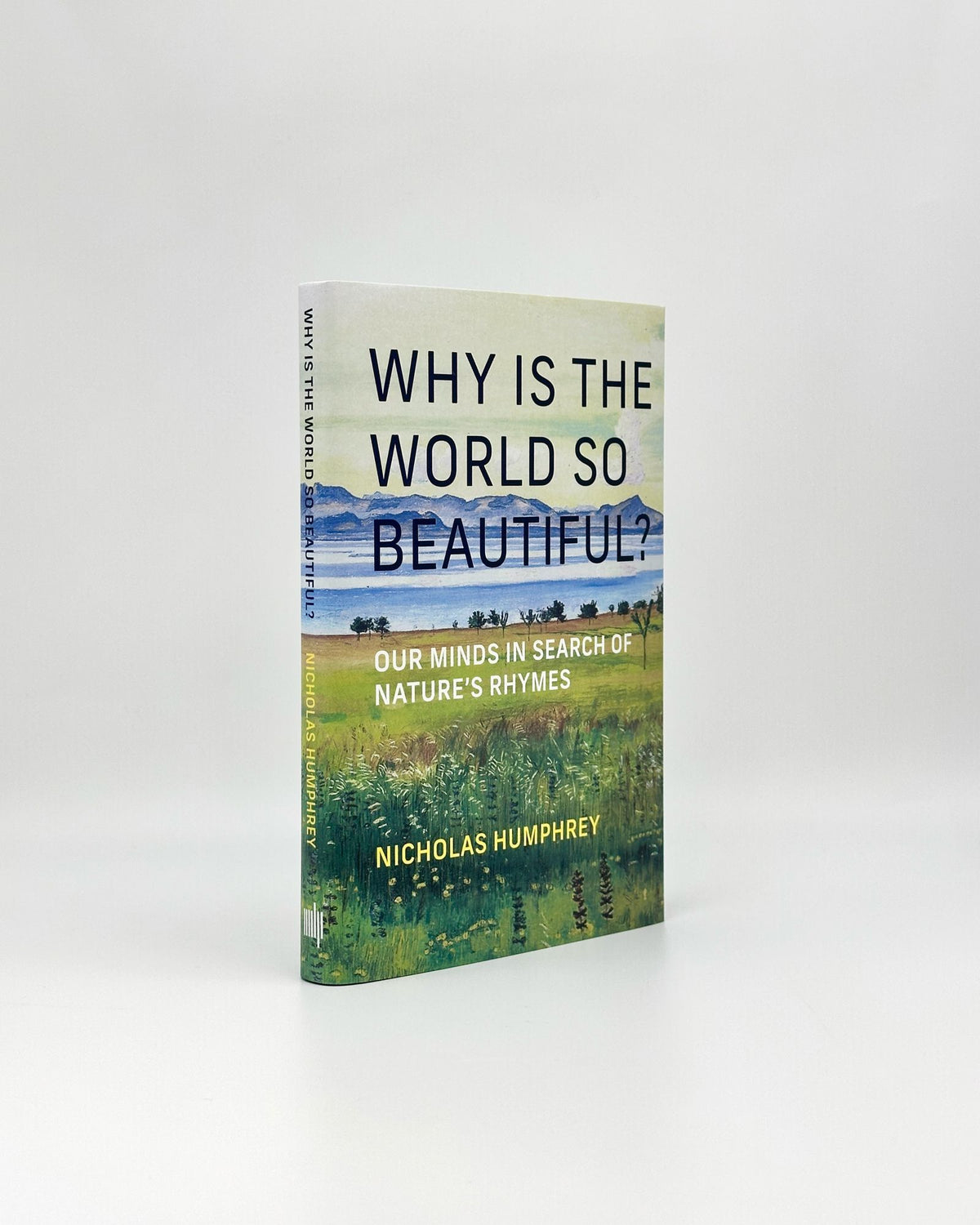 Why Is the World So Beautiful?: Our Minds in Search of Nature's Rhymes