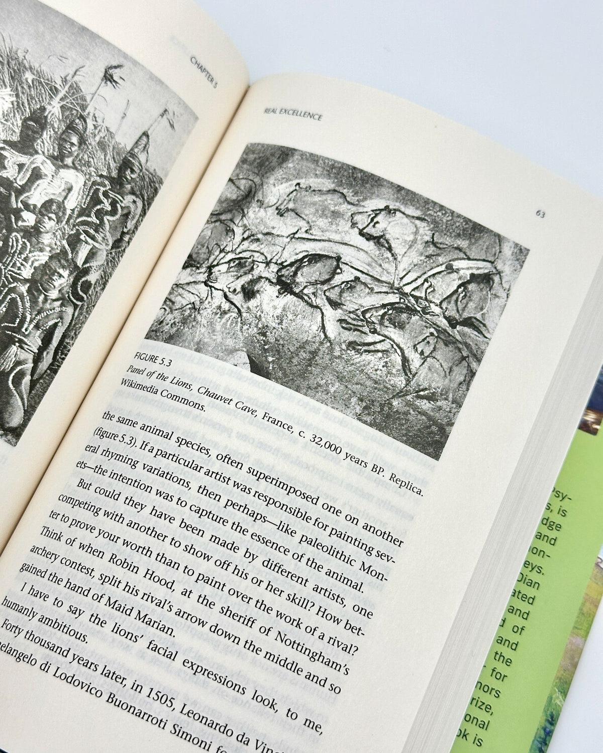 Why Is the World So Beautiful?: Our Minds in Search of Nature's Rhymes