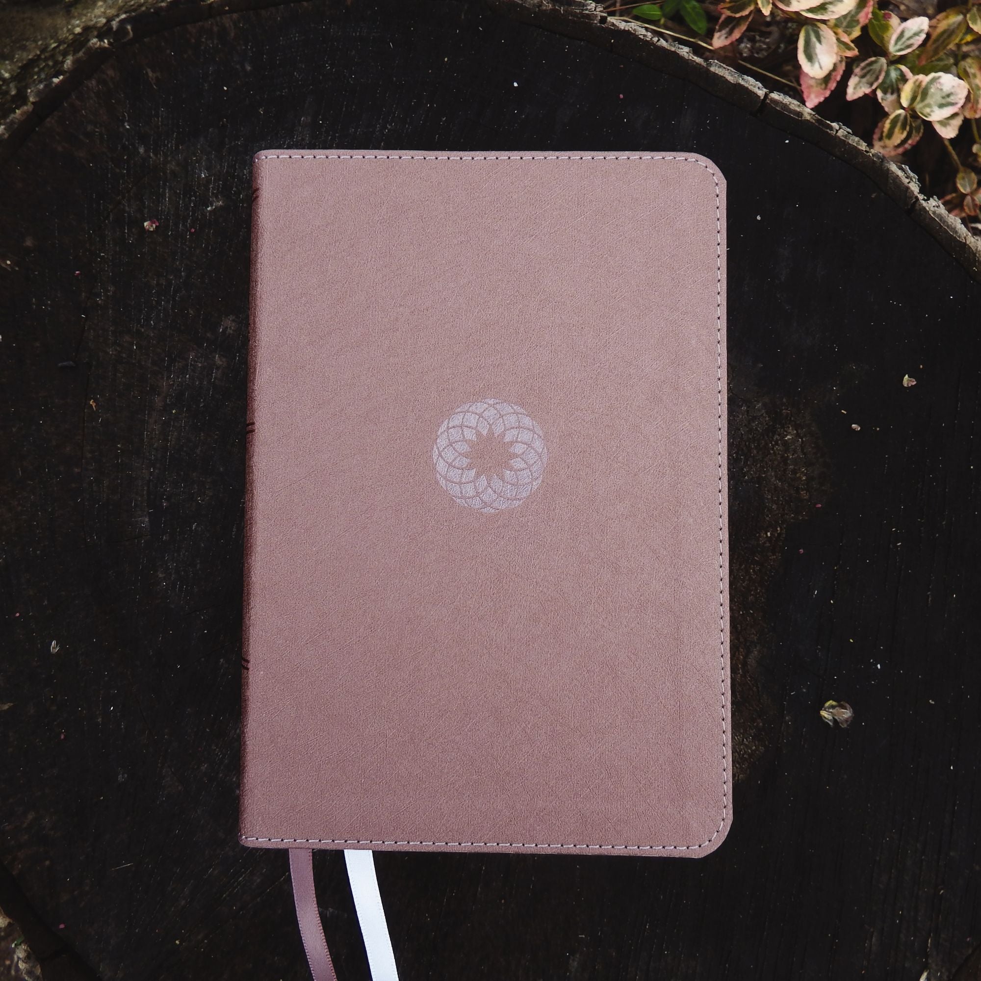NIV, Larger Print Compact Bible, Leathersoft, Pink, Red Letter, Comfort Print
