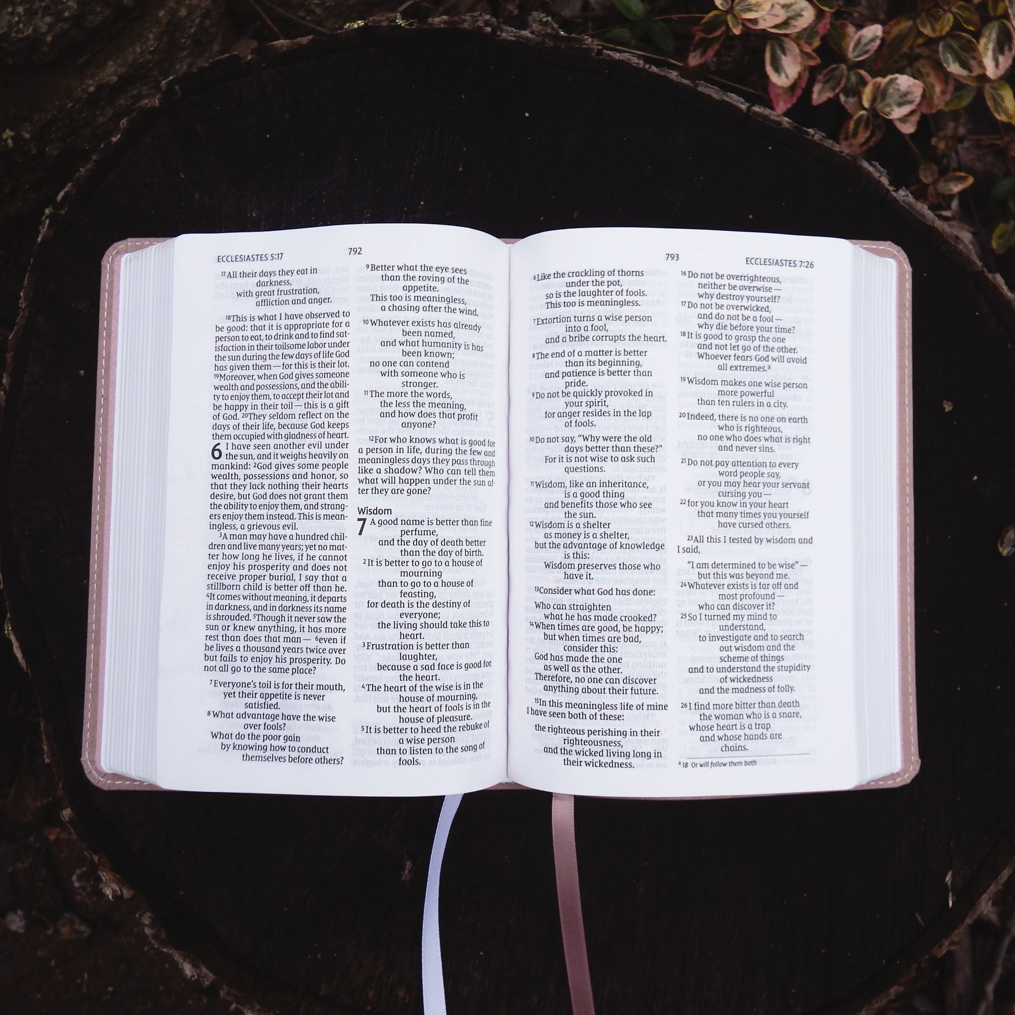 NIV, Larger Print Compact Bible, Leathersoft, Pink, Red Letter, Comfort Print