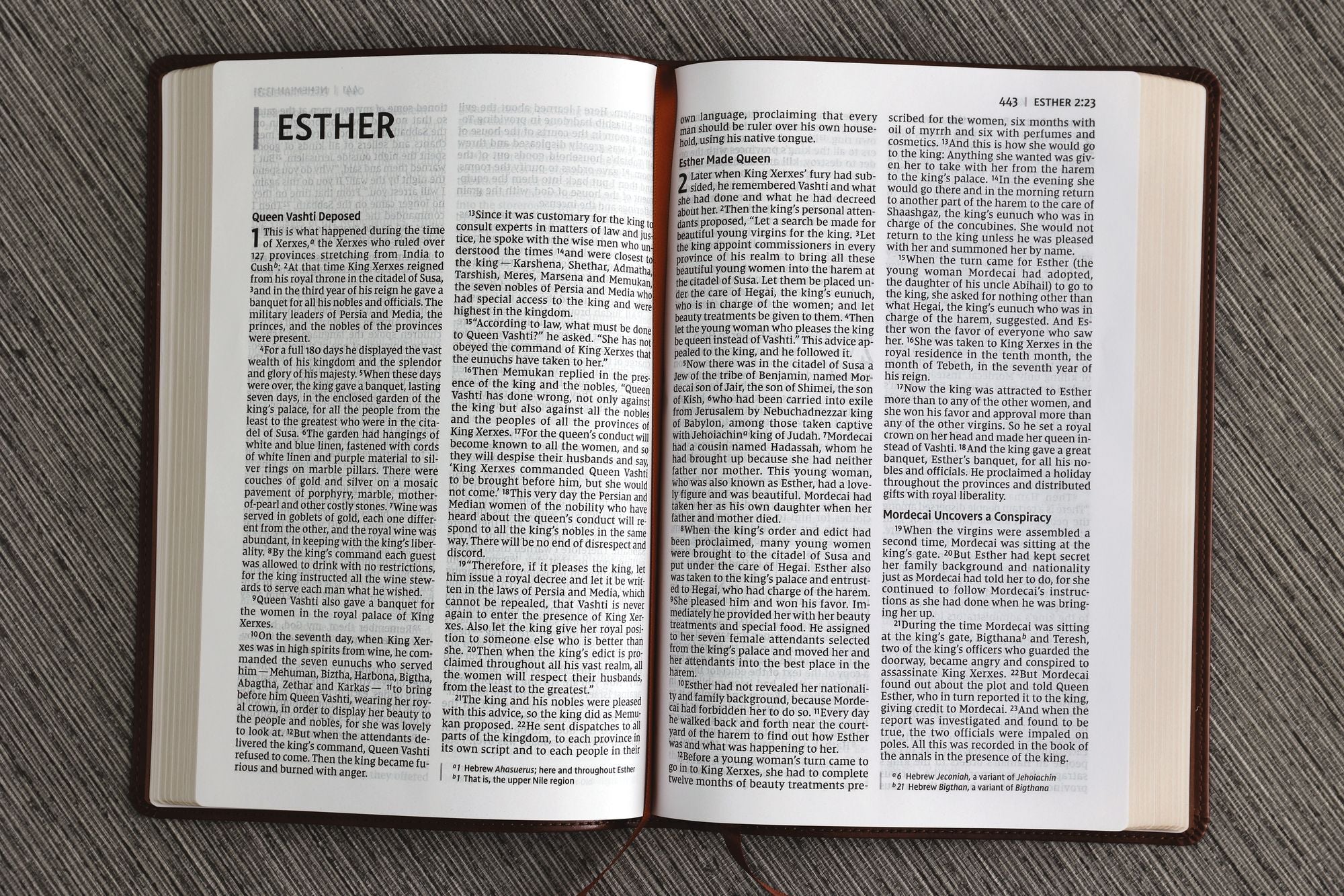 NIV, Thinline Bible, Large Print, Leathersoft, Brown, Red Letter, Comfort Print