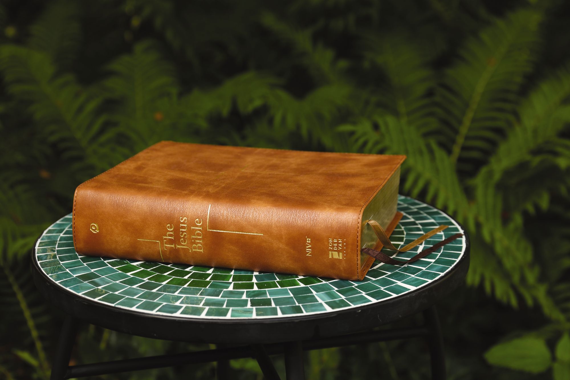 The Jesus Bible, NIV Edition, Leathersoft, Tan, Comfort Print
