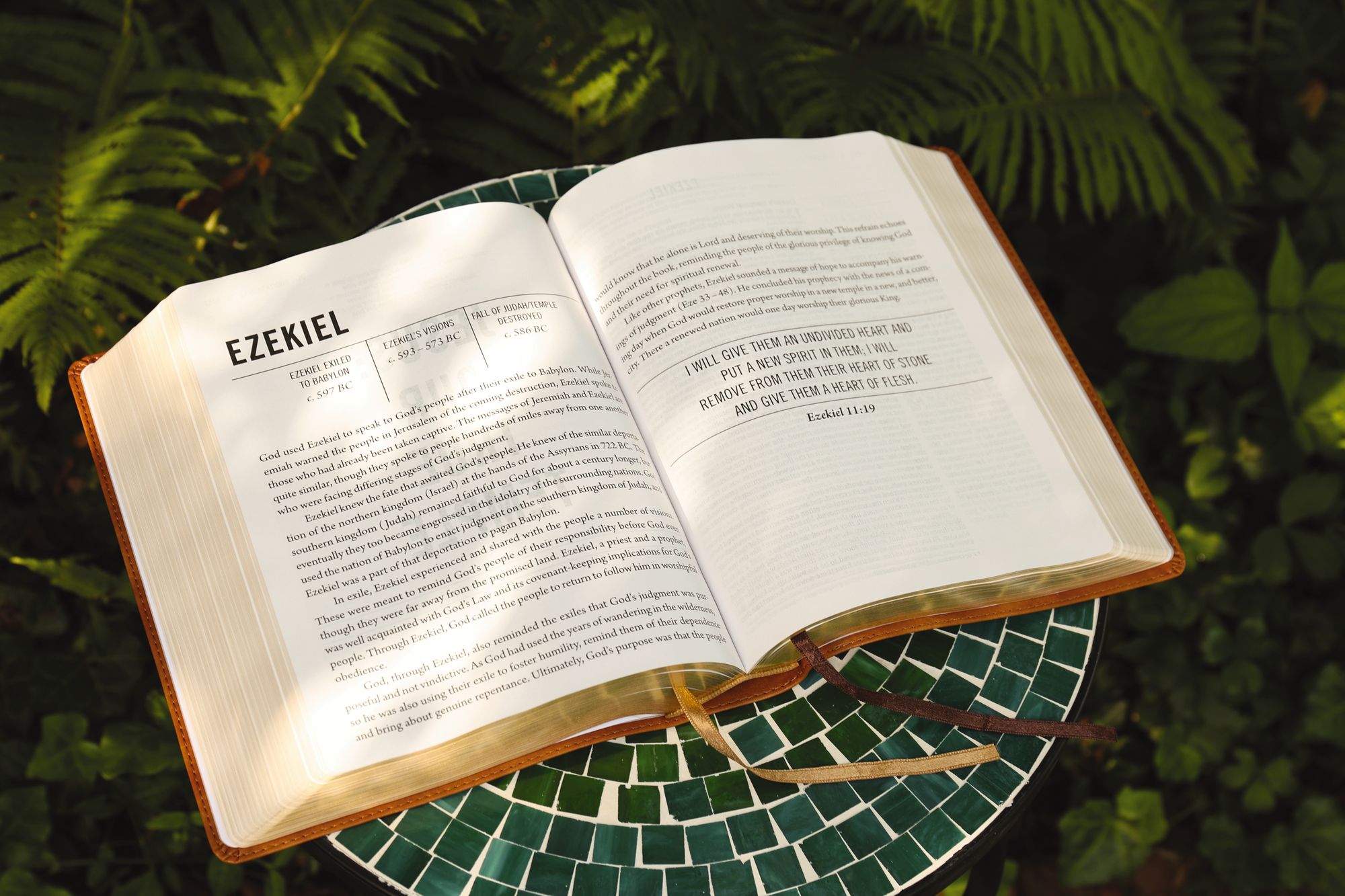 The Jesus Bible, NIV Edition, Leathersoft, Tan, Comfort Print