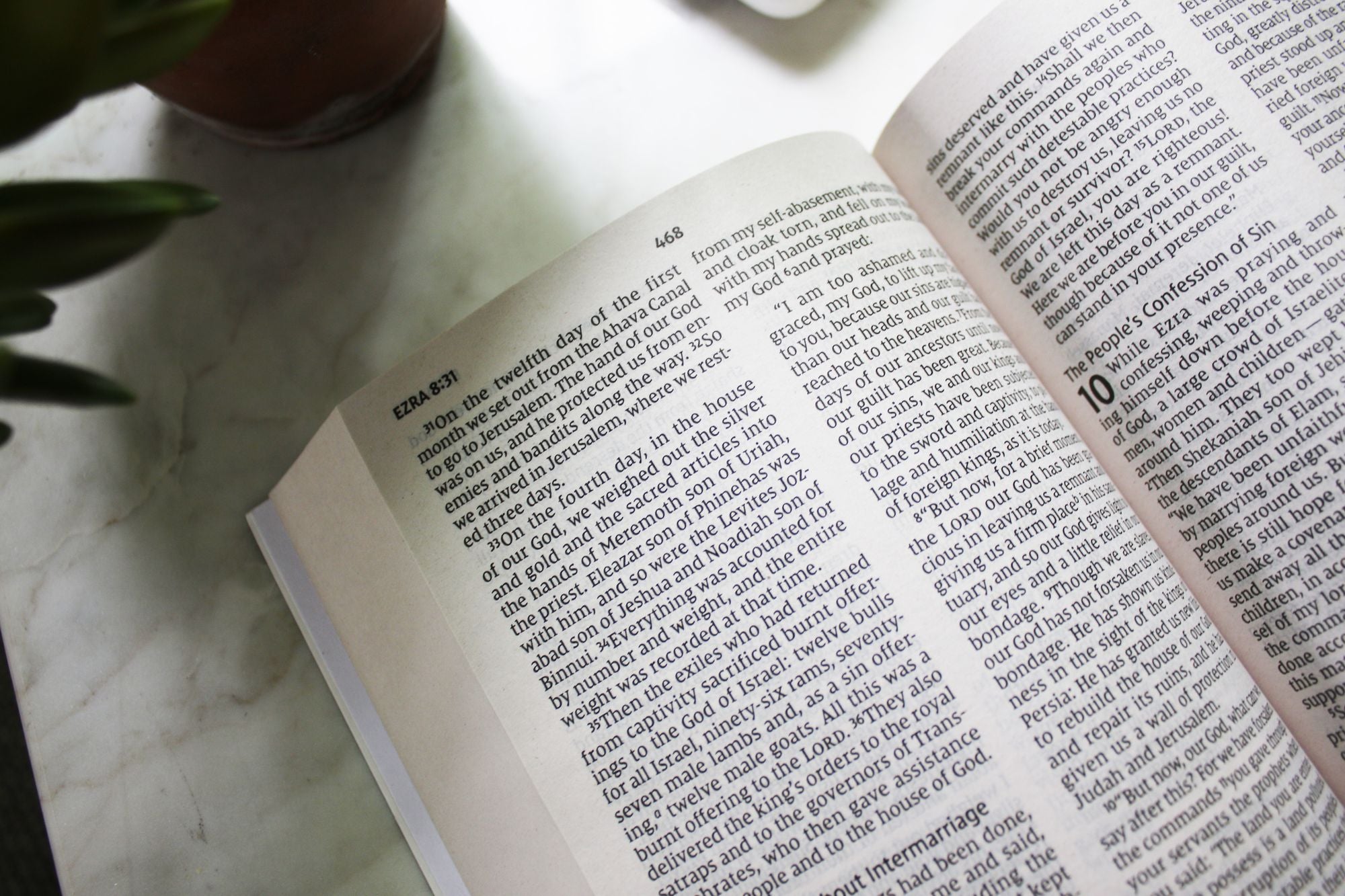 NIV, Holy Bible, Larger Print, Economy Edition, Paperback, Blue, Comfort Print