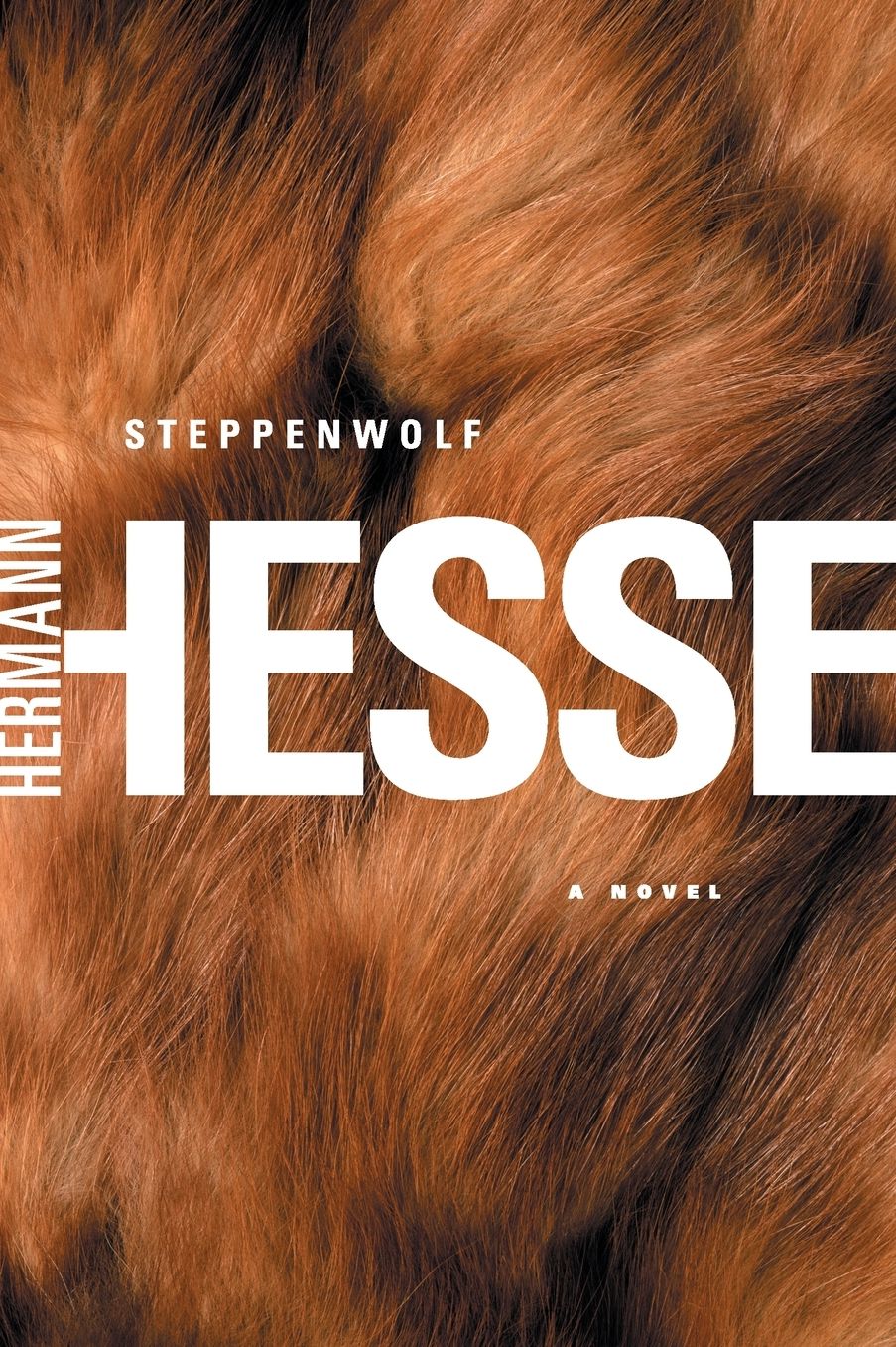 Steppenwolf: A Novel