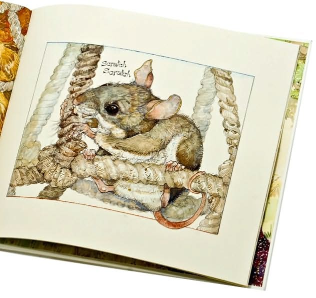 The Lion & the Mouse (Caldecott Medal Winner)