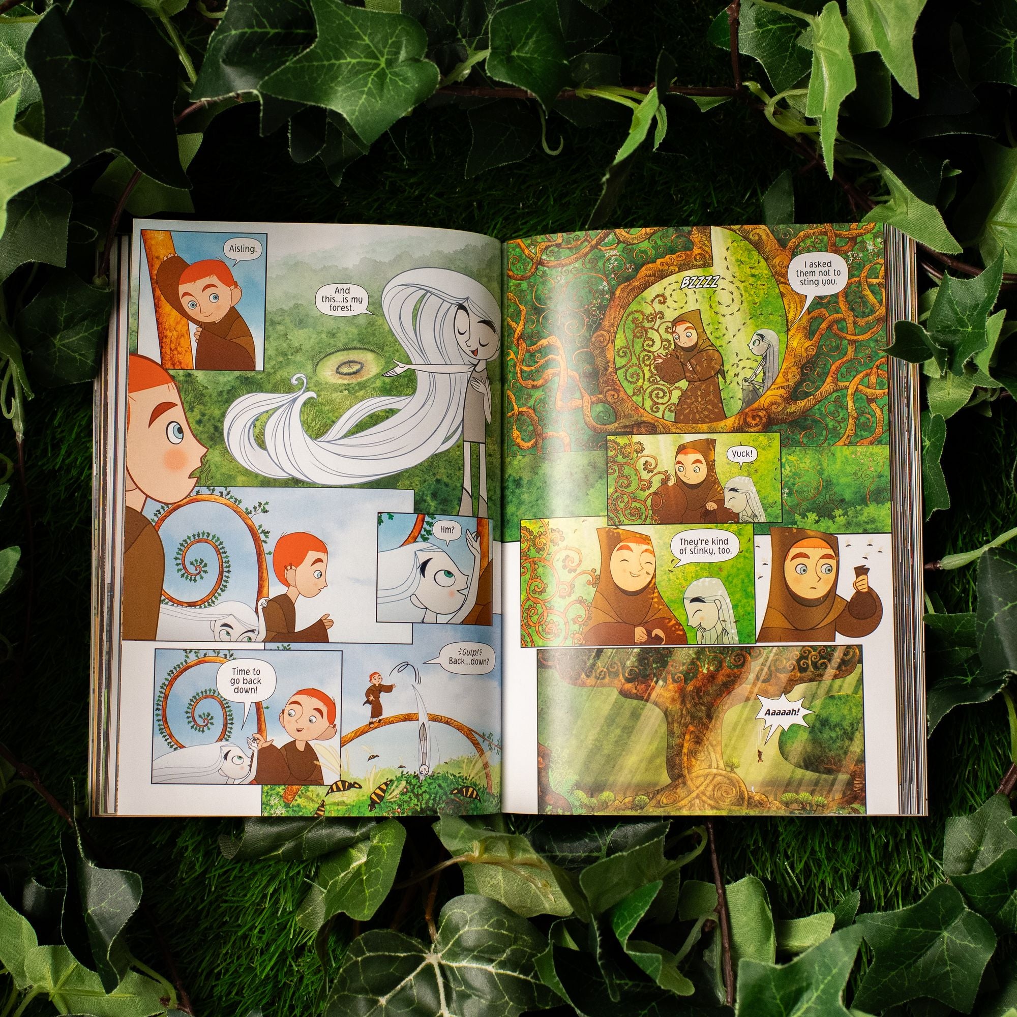 The Secret of Kells: The Graphic Novel