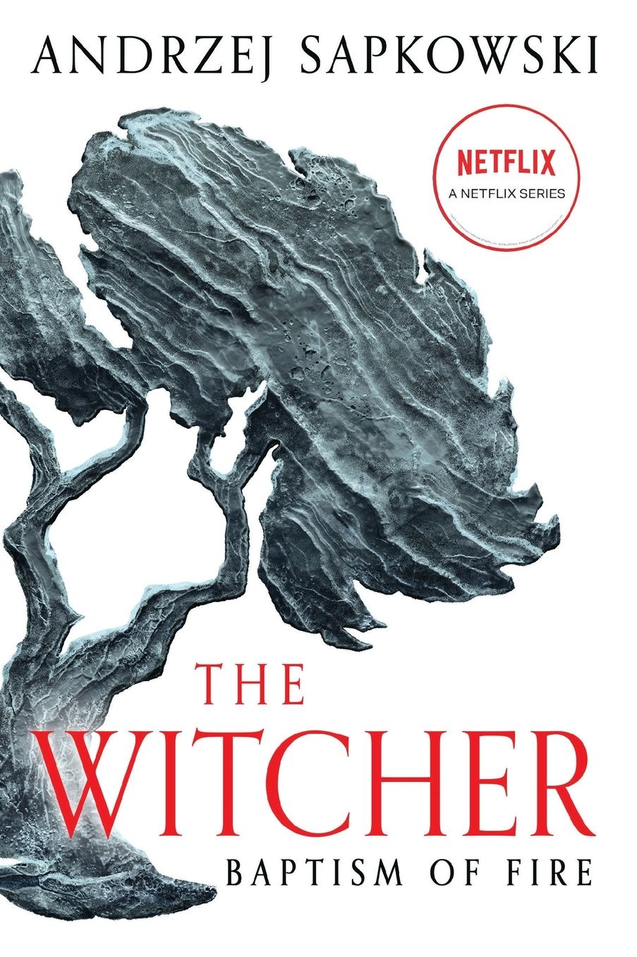 Baptism of Fire (Witcher Series #3)
