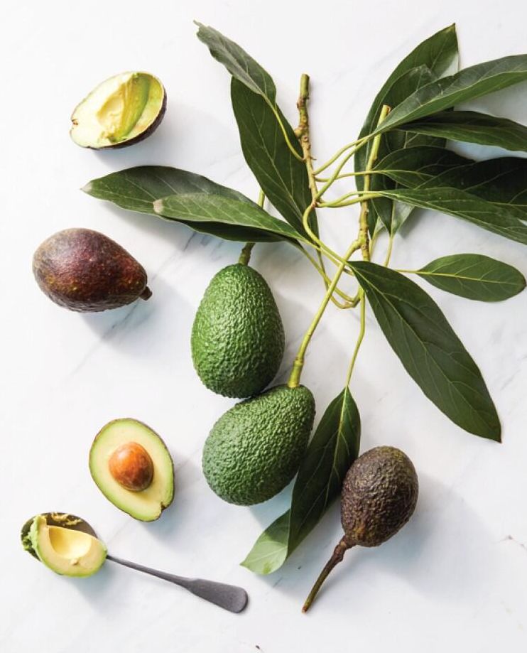 Food: What the Heck Should I Cook?