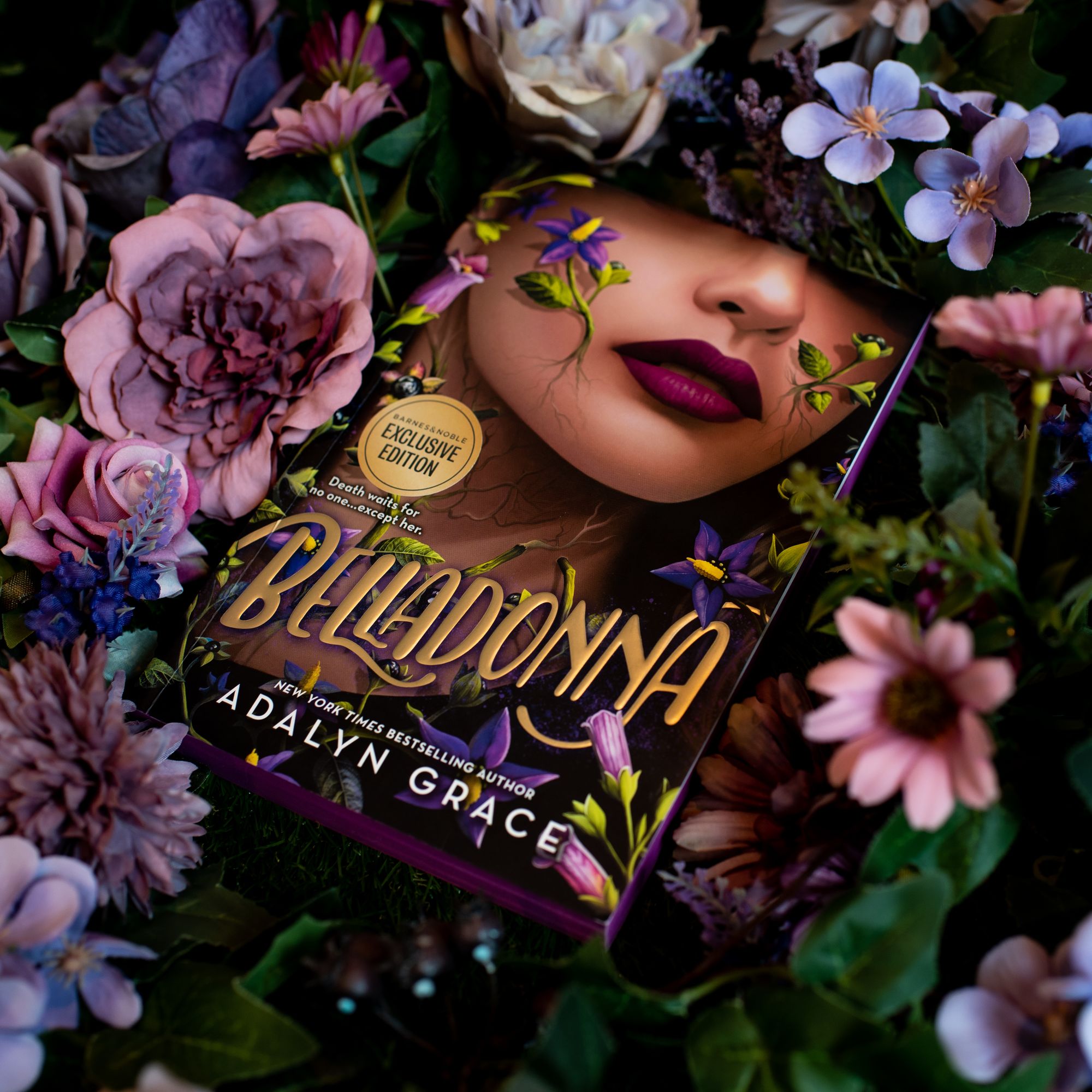Belladonna (B&N Exclusive Edition) (Belladonna Series #1)