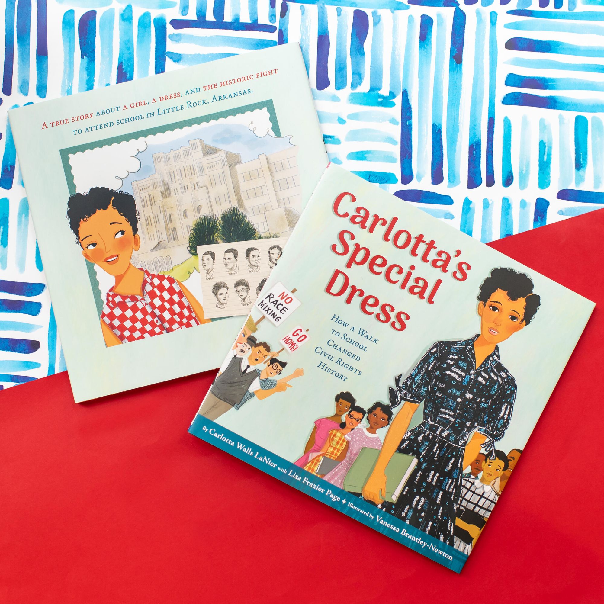 Carlotta's Special Dress: How a Walk to School Changed Civil Rights History