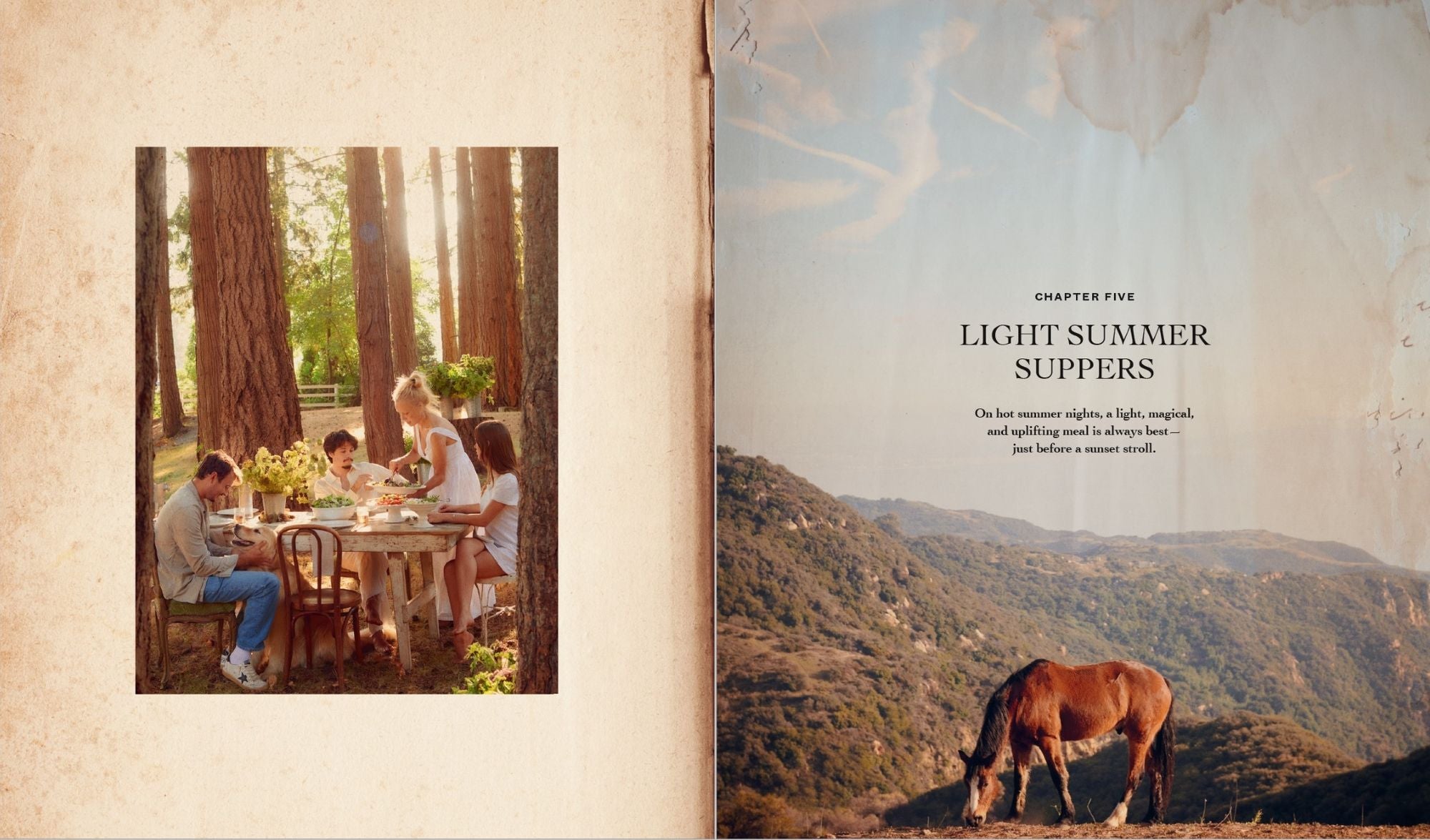 I Love You: Recipes from the Heart (A Cookbook)