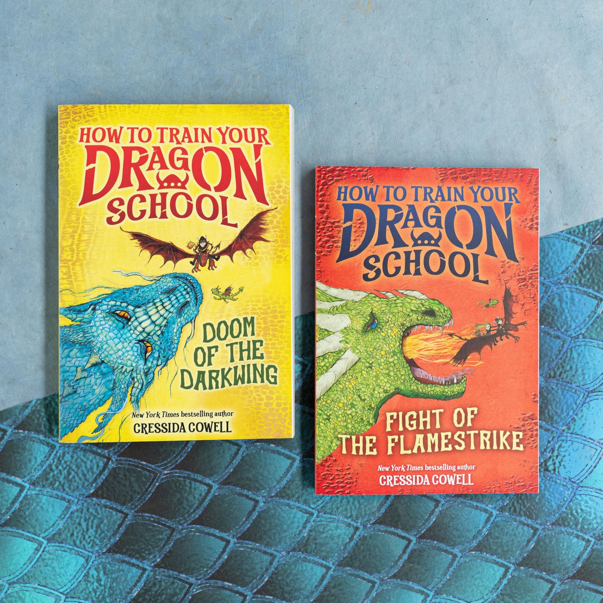How to Train Your Dragon School: Fight of the Flamestrike