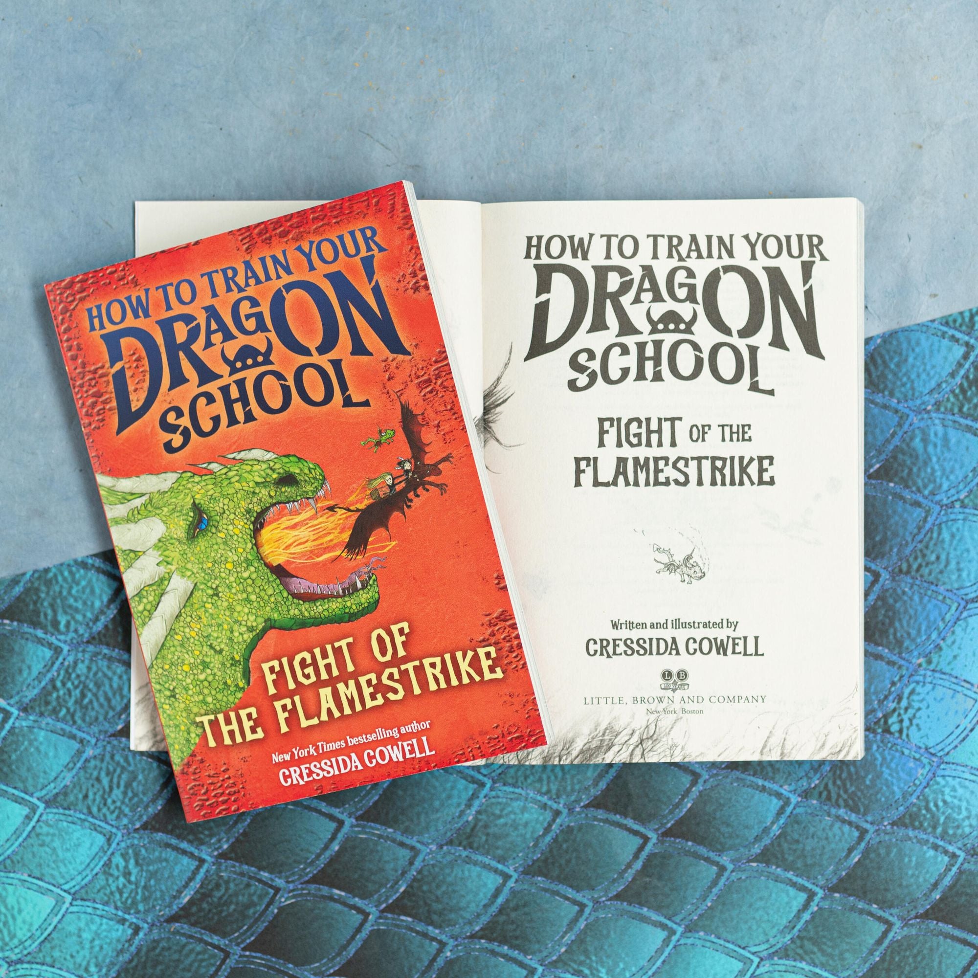 How to Train Your Dragon School: Fight of the Flamestrike