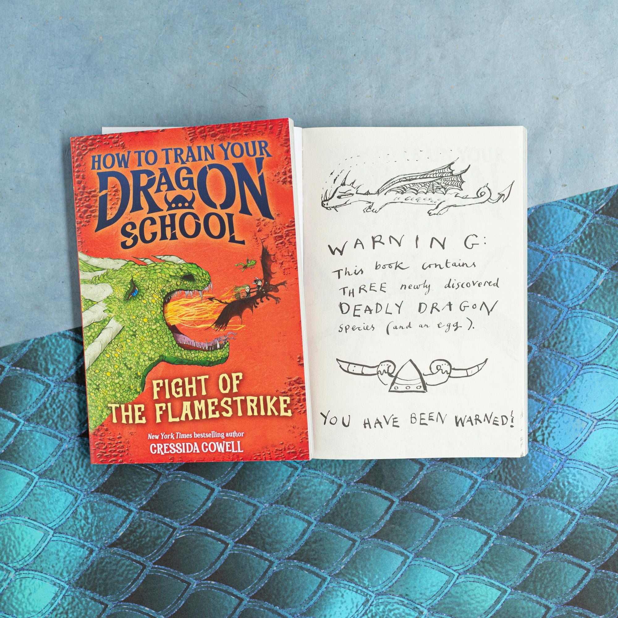 How to Train Your Dragon School: Fight of the Flamestrike