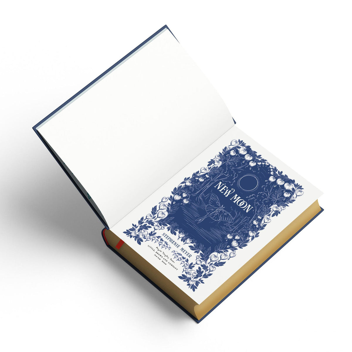 New Moon: Deluxe Collector's Edition
