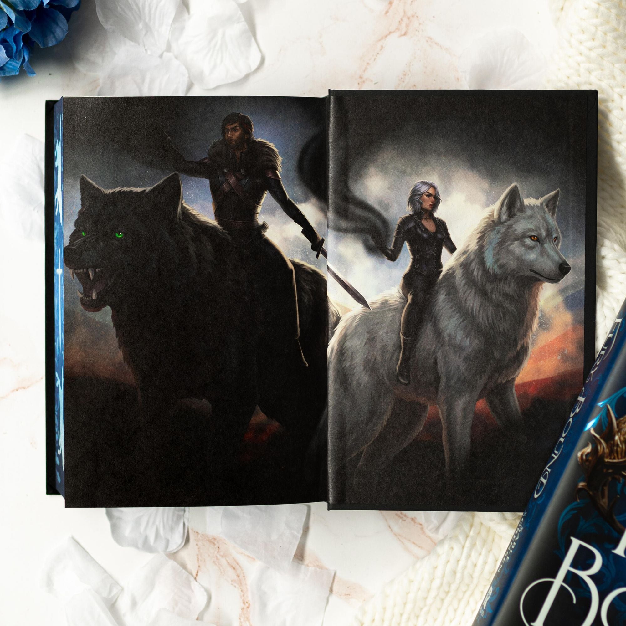 Fury Bound (Deluxe Limited Edition)