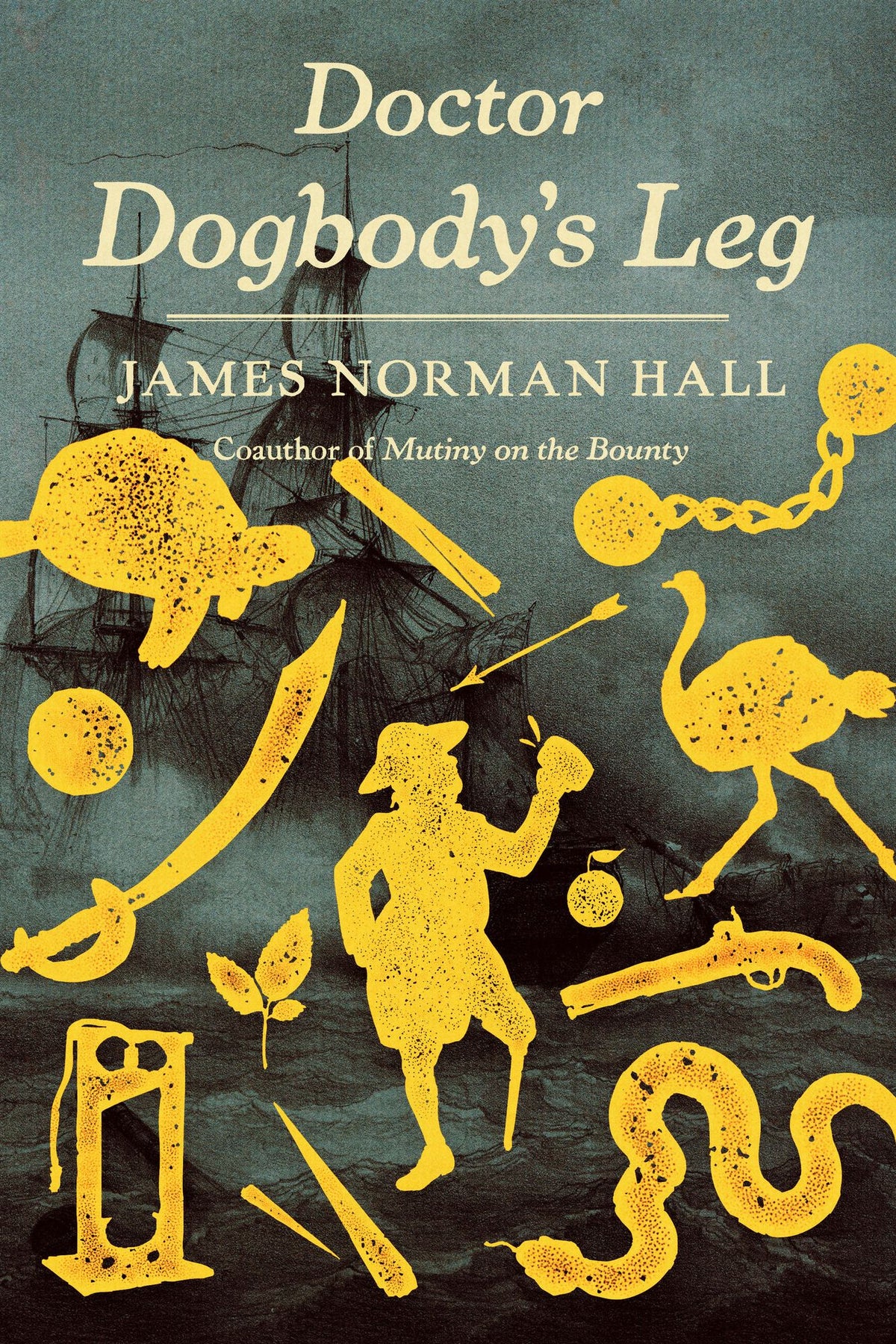 Doctor Dogbody's Leg: A Novel