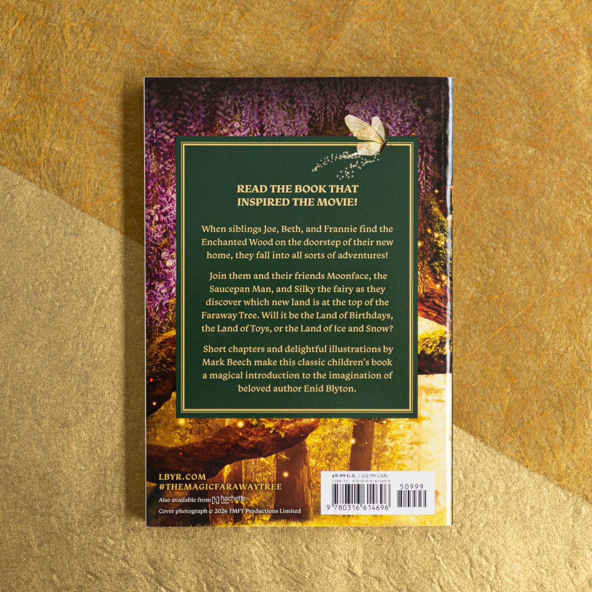 The Magic Faraway Tree: The Enchanted Wood